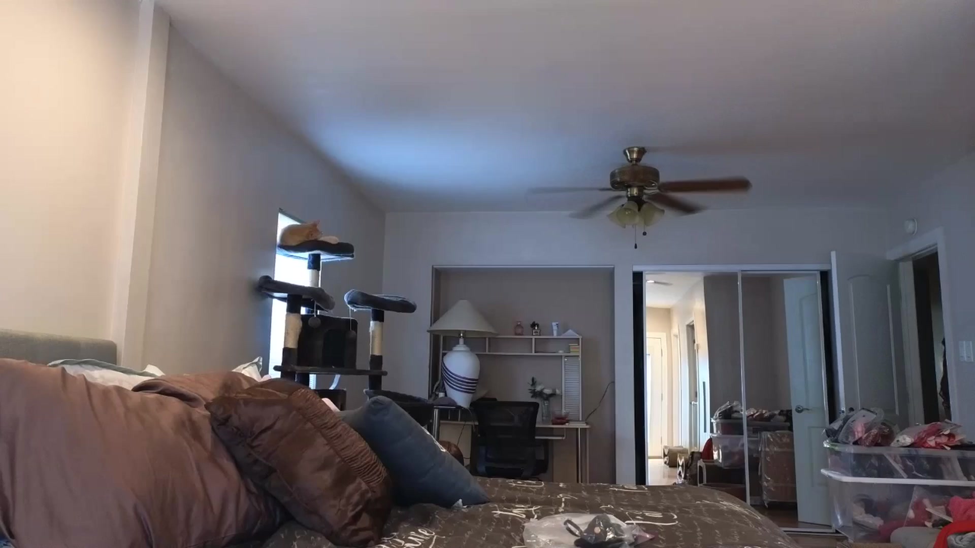 Gallery image thumbnail from Christy_Love's myfreecams stream on, 07/25/2024, 19:53 image 1 of 20