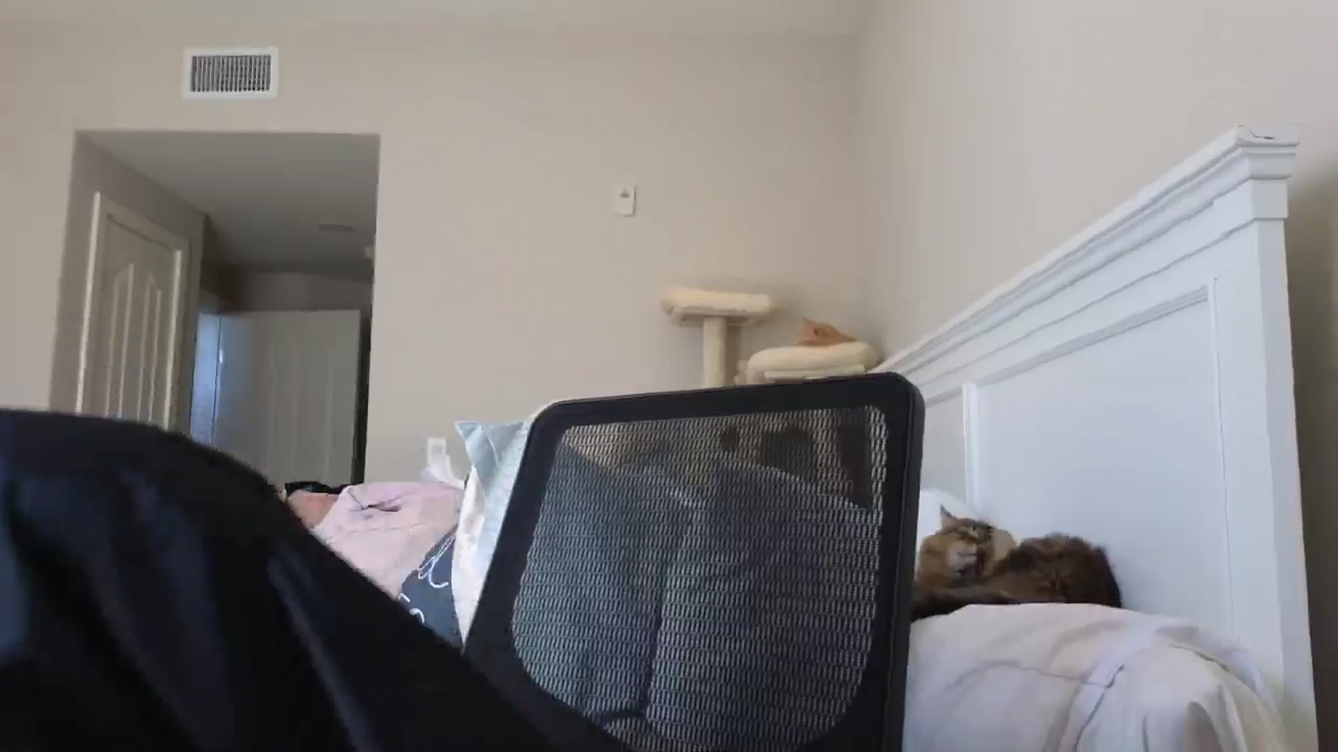Gallery image thumbnail from Christy_Love's myfreecams stream on, 08/18/2024, 21:23 image 12 of 20
