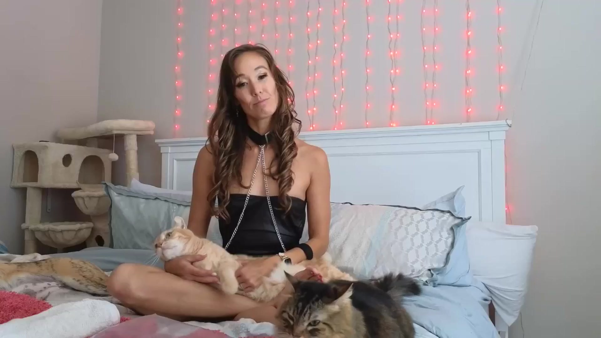 Gallery image thumbnail from Christy_Love's myfreecams stream on, 07/22/2025, 21:02 image 14 of 20