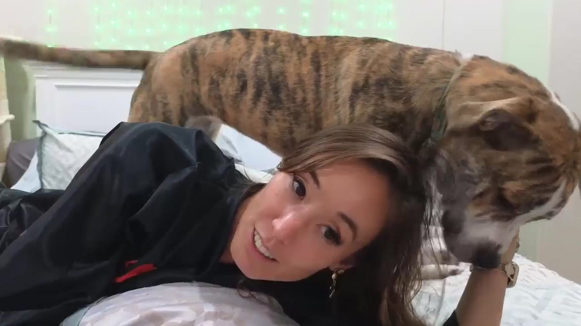 Gallery image thumbnail from Christy_Love's myfreecams stream on, 09/23/2025, 02:38 image 13 of 20