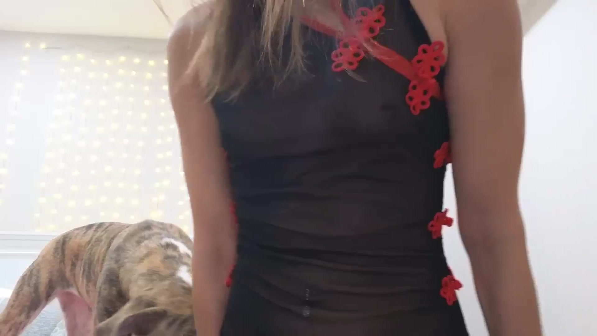 Gallery image thumbnail from Christy_Love's myfreecams stream on, 10/13/2025, 02:02 image 2 of 20