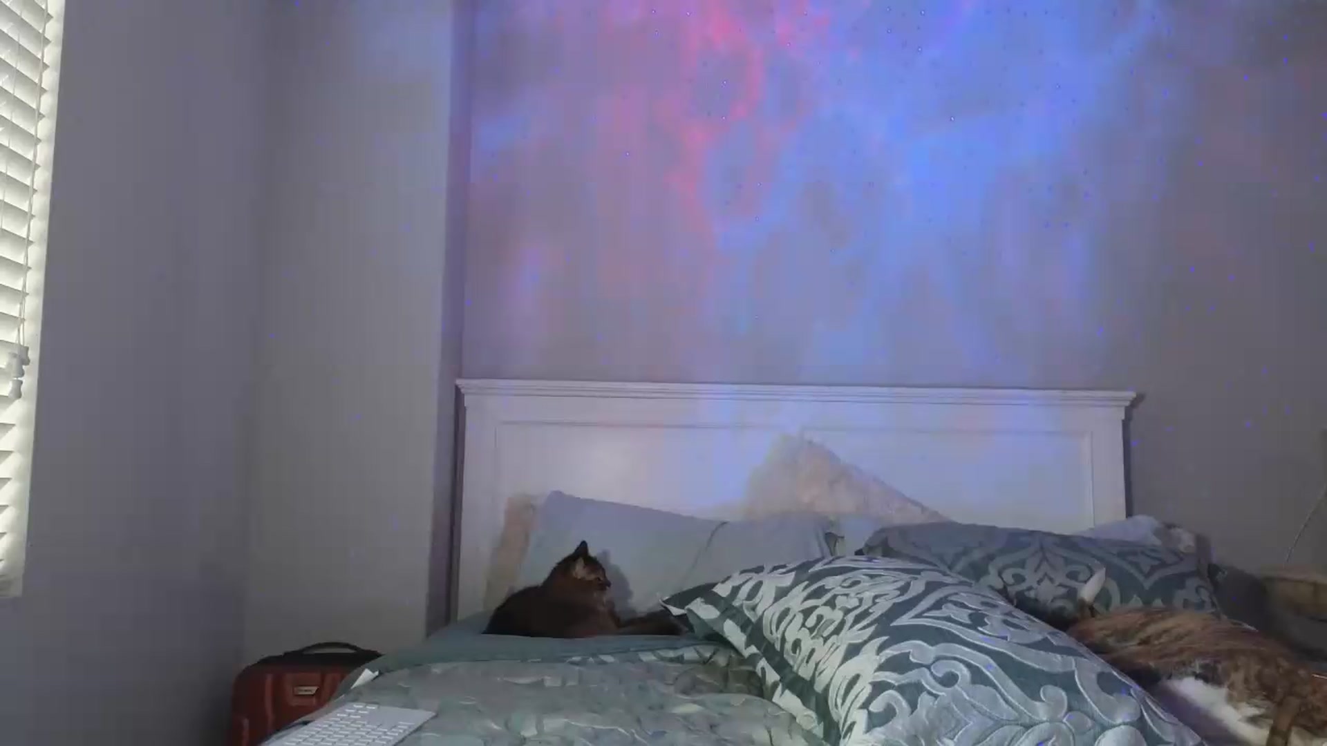 Gallery image thumbnail from Christy_Love's myfreecams stream on, 05/19/2026, 02:56 image 11 of 20