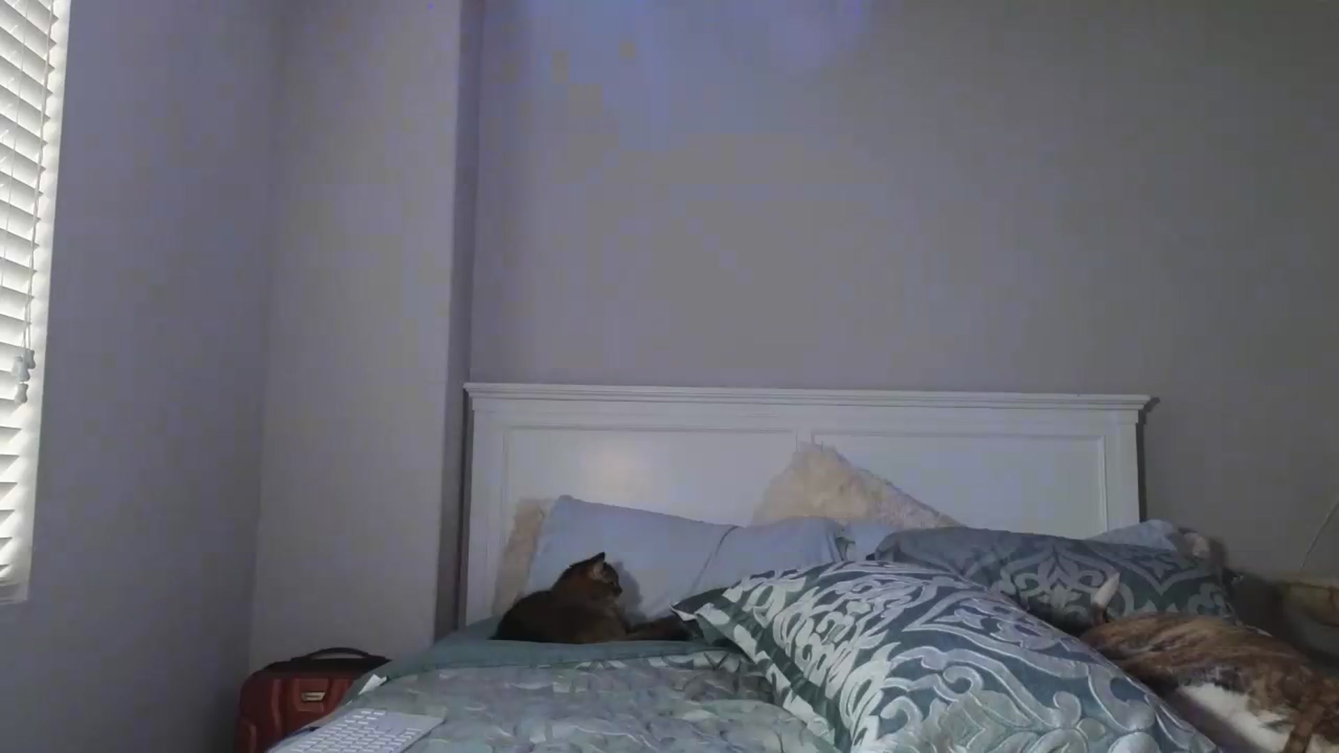 Gallery image thumbnail from Christy_Love's myfreecams stream on, 05/19/2026, 02:56 image 10 of 20