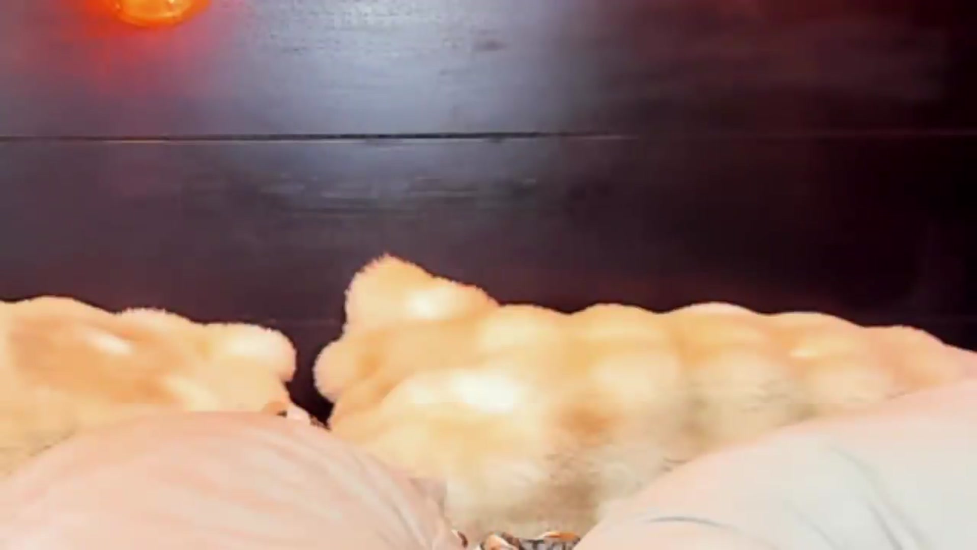 Gallery image thumbnail from ChristynaRos's myfreecams stream on, 06/13/2026, 22:49 image 18 of 20
