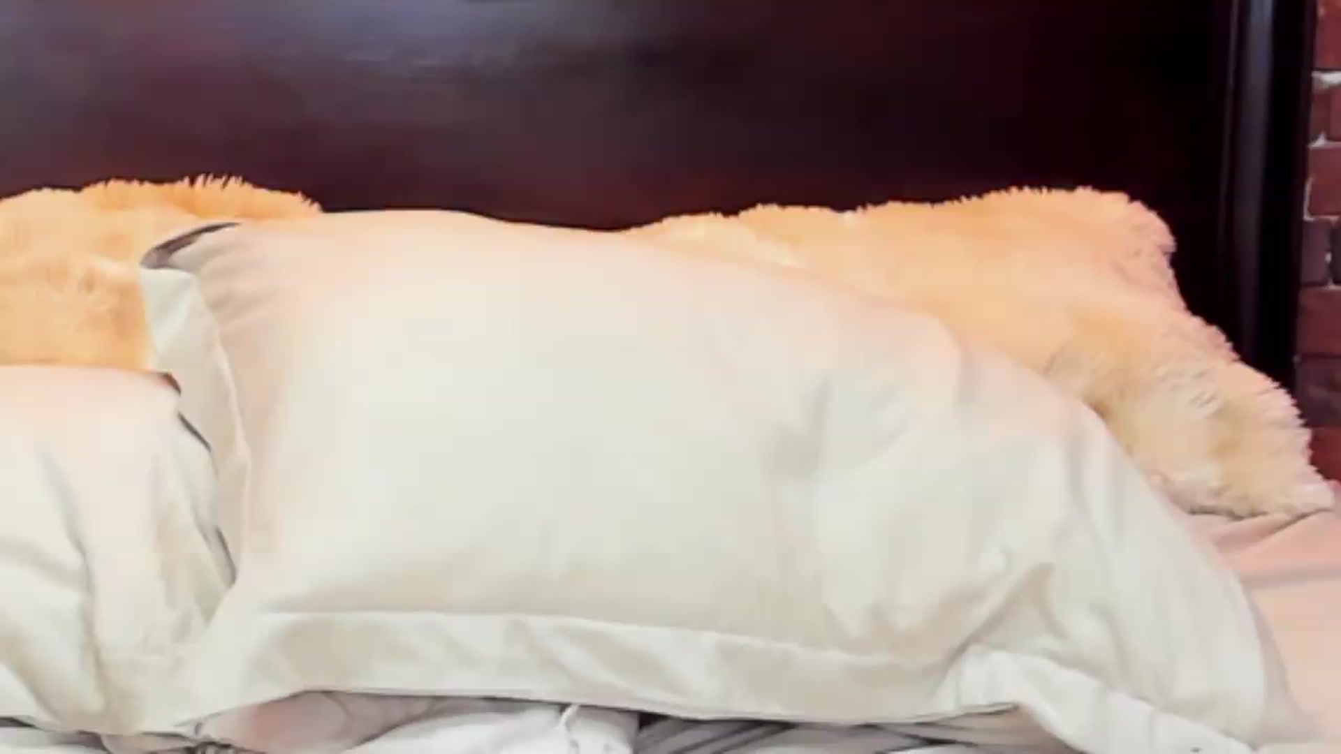 Gallery image thumbnail from ChristynaRos's myfreecams stream on, 08/15/2026, 02:48 image 18 of 20