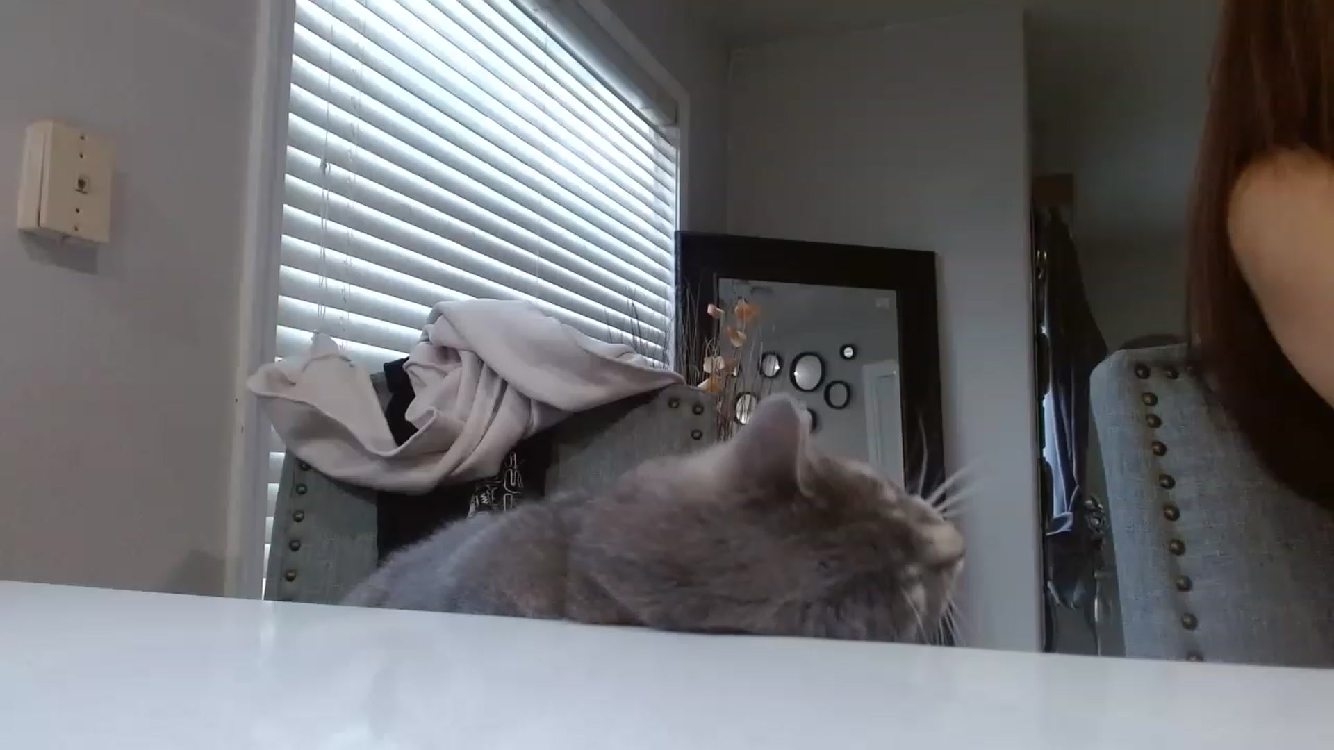 Gallery image thumbnail from Ciarra's myfreecams stream on, 06/10/2023, 03:11 image 13 of 20