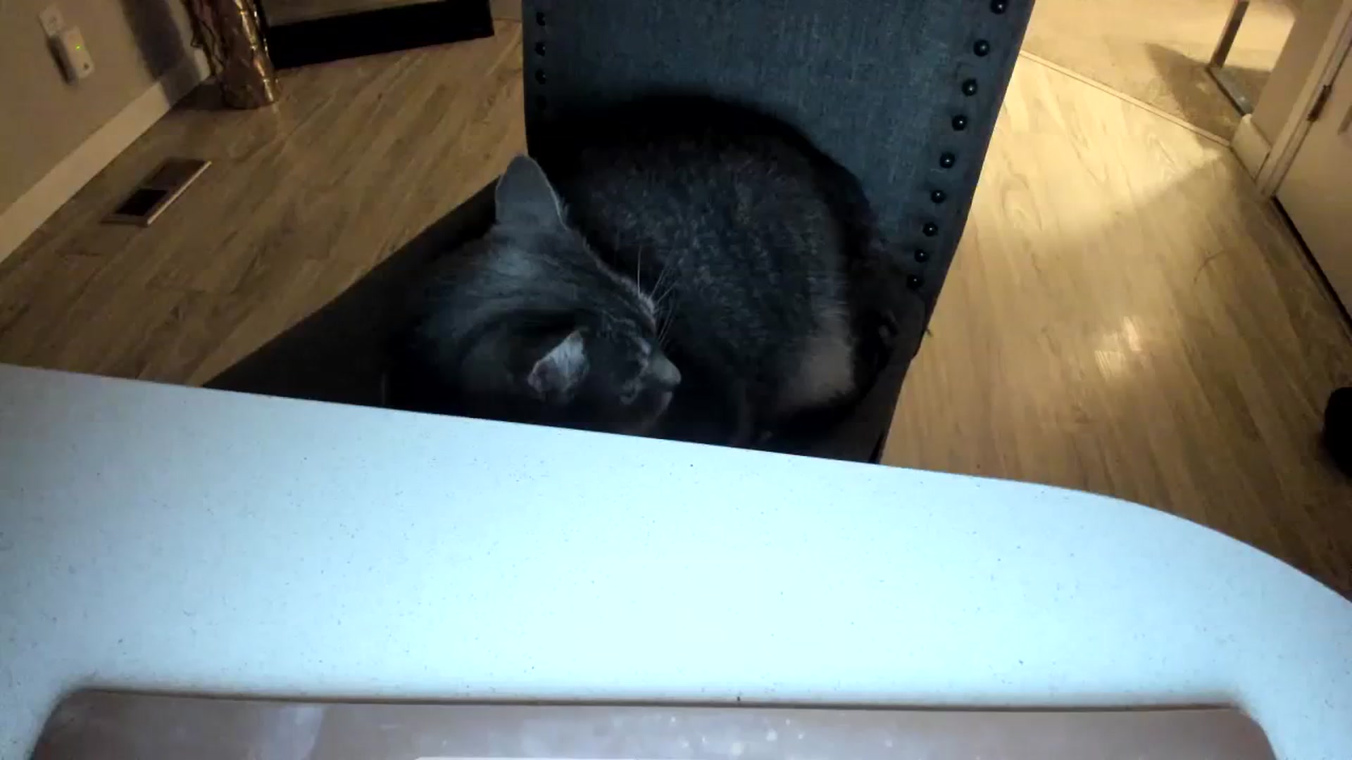 Gallery image thumbnail from Ciarra's myfreecams stream on, 10/24/2023, 03:48 image 8 of 20