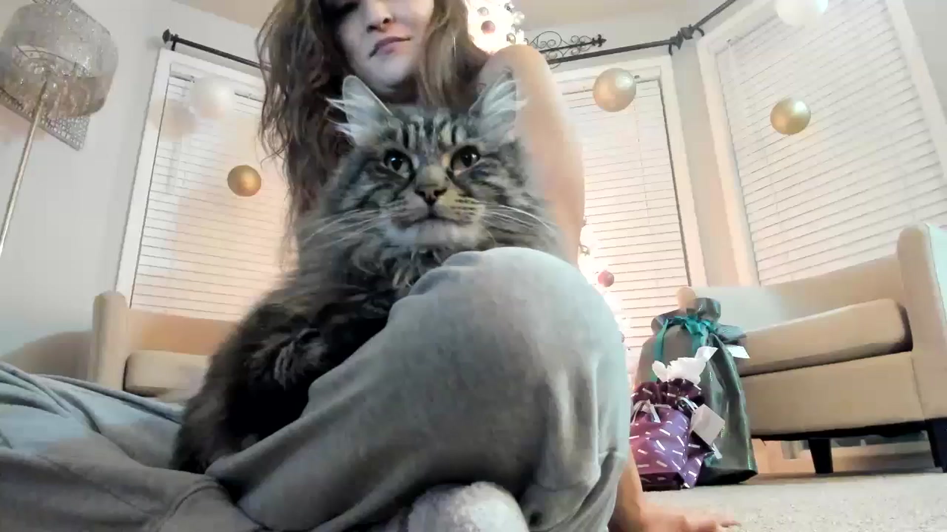 Gallery image thumbnail from Ciarra's myfreecams stream on, 11/21/2023, 06:57 image 17 of 20