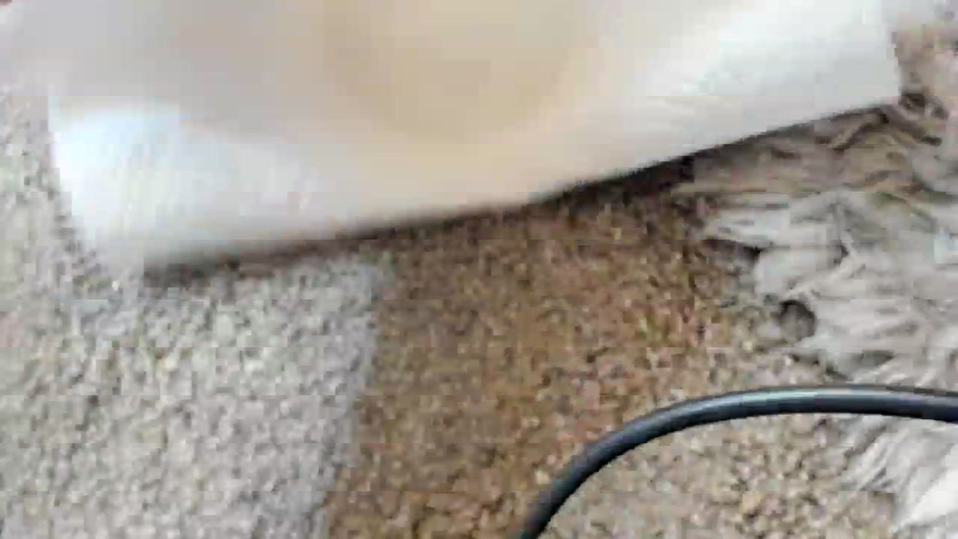 Gallery image thumbnail from Ciarra's myfreecams stream on, 11/21/2023, 06:57 image 18 of 20