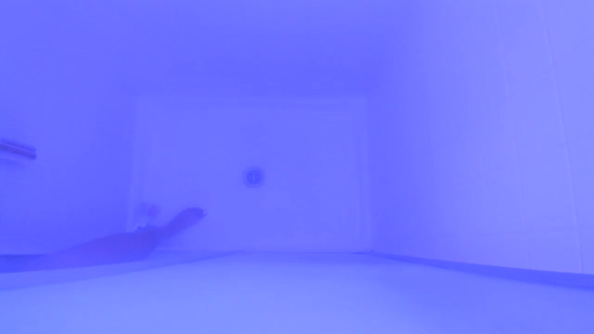 Gallery image thumbnail from Ciarra's myfreecams stream on, 11/21/2023, 09:03 image 18 of 20