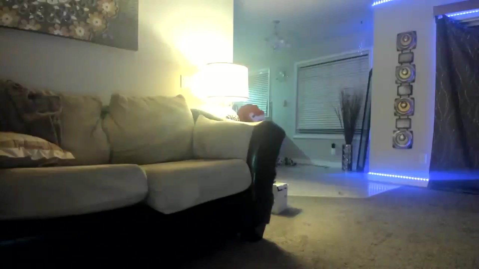 Gallery image thumbnail from Ciarra's myfreecams stream on, 11/24/2023, 07:59 image 9 of 20