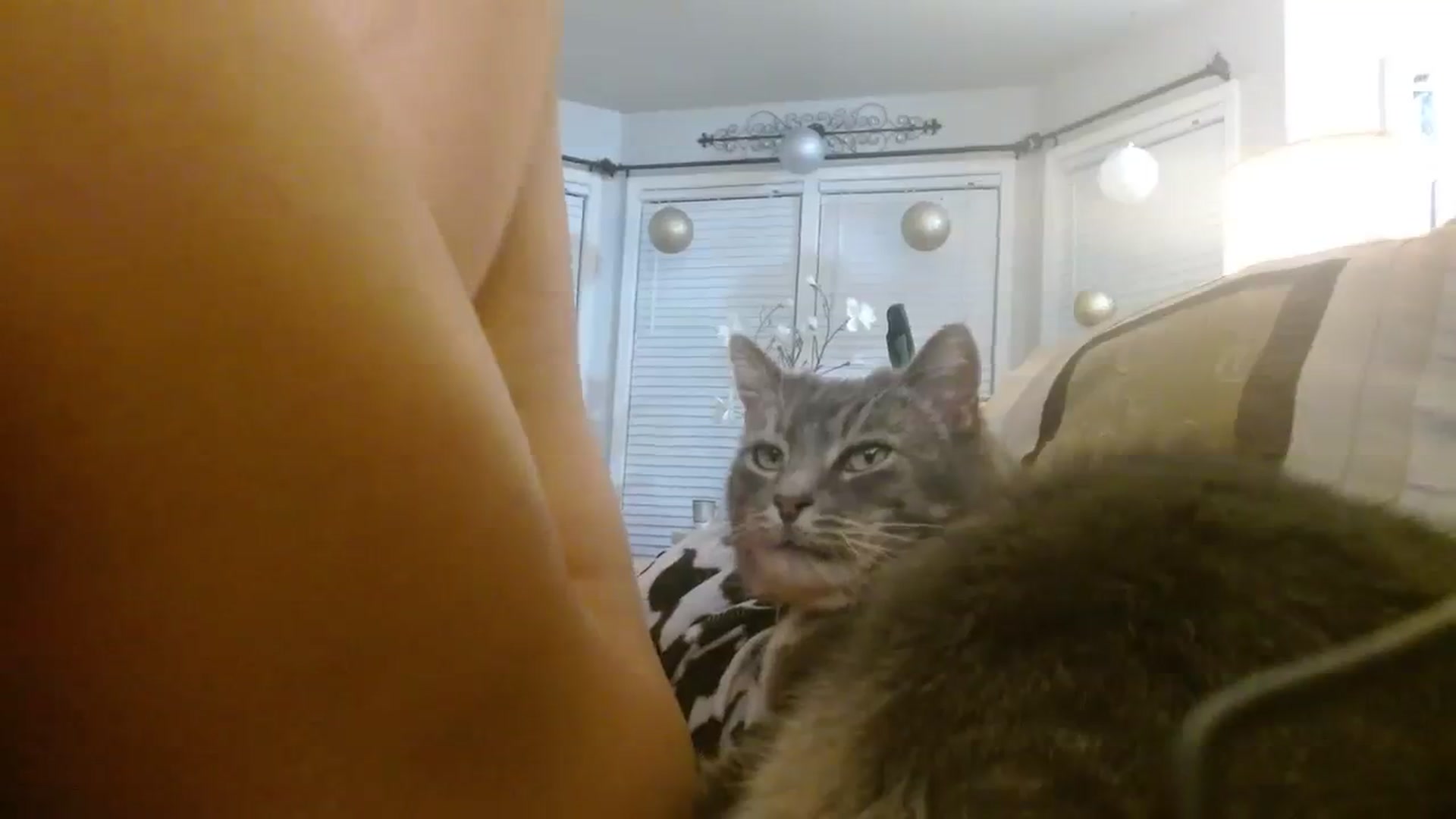 Gallery image thumbnail from Ciarra's myfreecams stream on, 02/03/2024, 09:51 image 20 of 20
