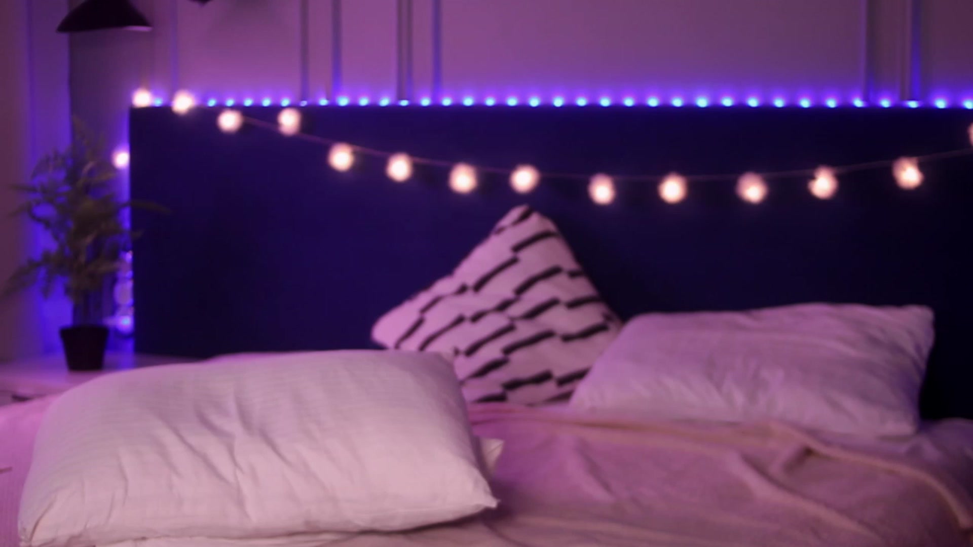 Gallery image thumbnail from Cierra_Tay's myfreecams stream on, 02/11/2023, 17:51 image 16 of 20