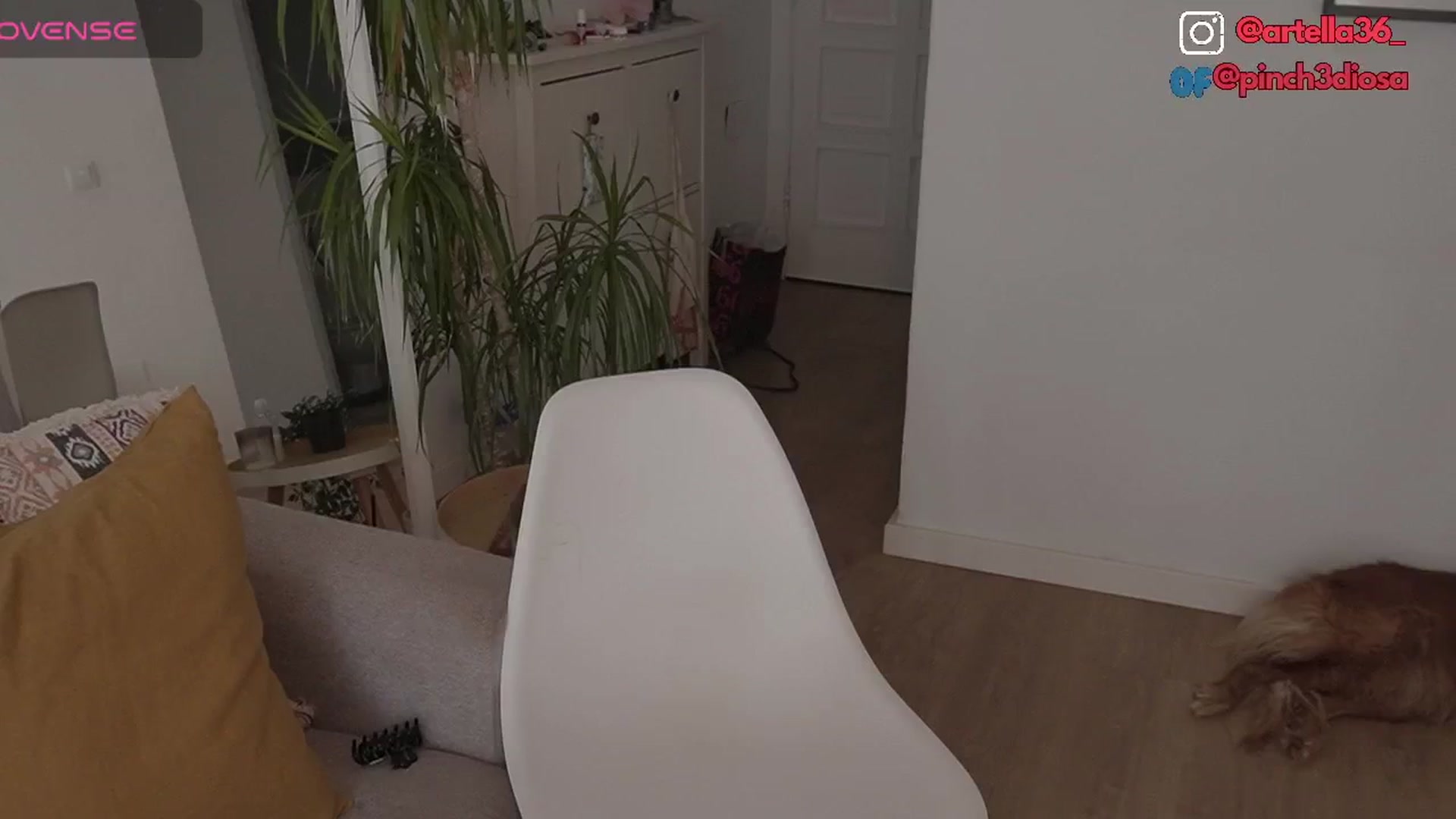 Gallery image thumbnail from Cinderella36's myfreecams stream on, 08/15/2024, 11:17 image 17 of 20