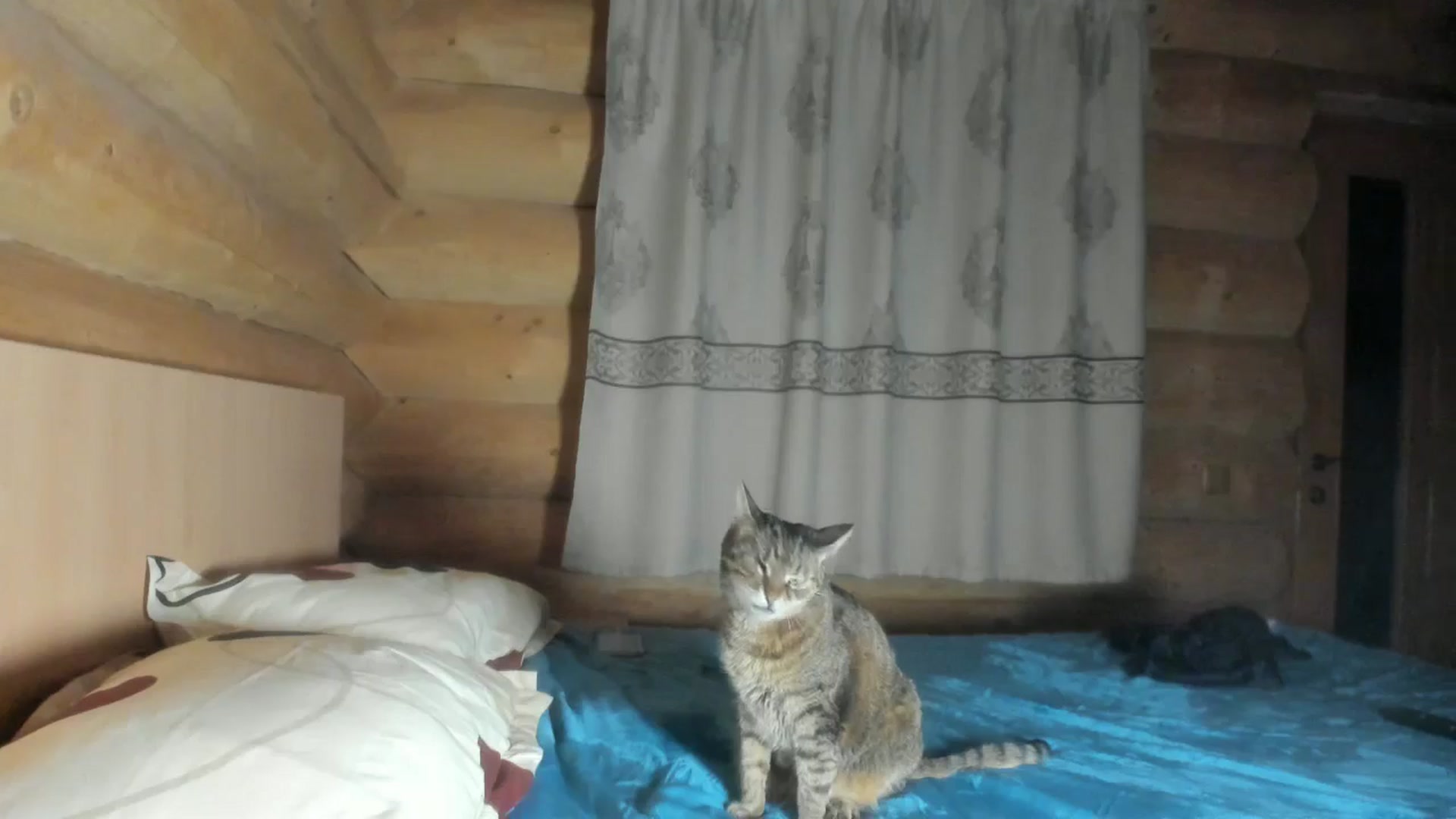 Gallery image thumbnail from Cindydream's myfreecams stream on, 11/24/2024, 20:52 image 4 of 20