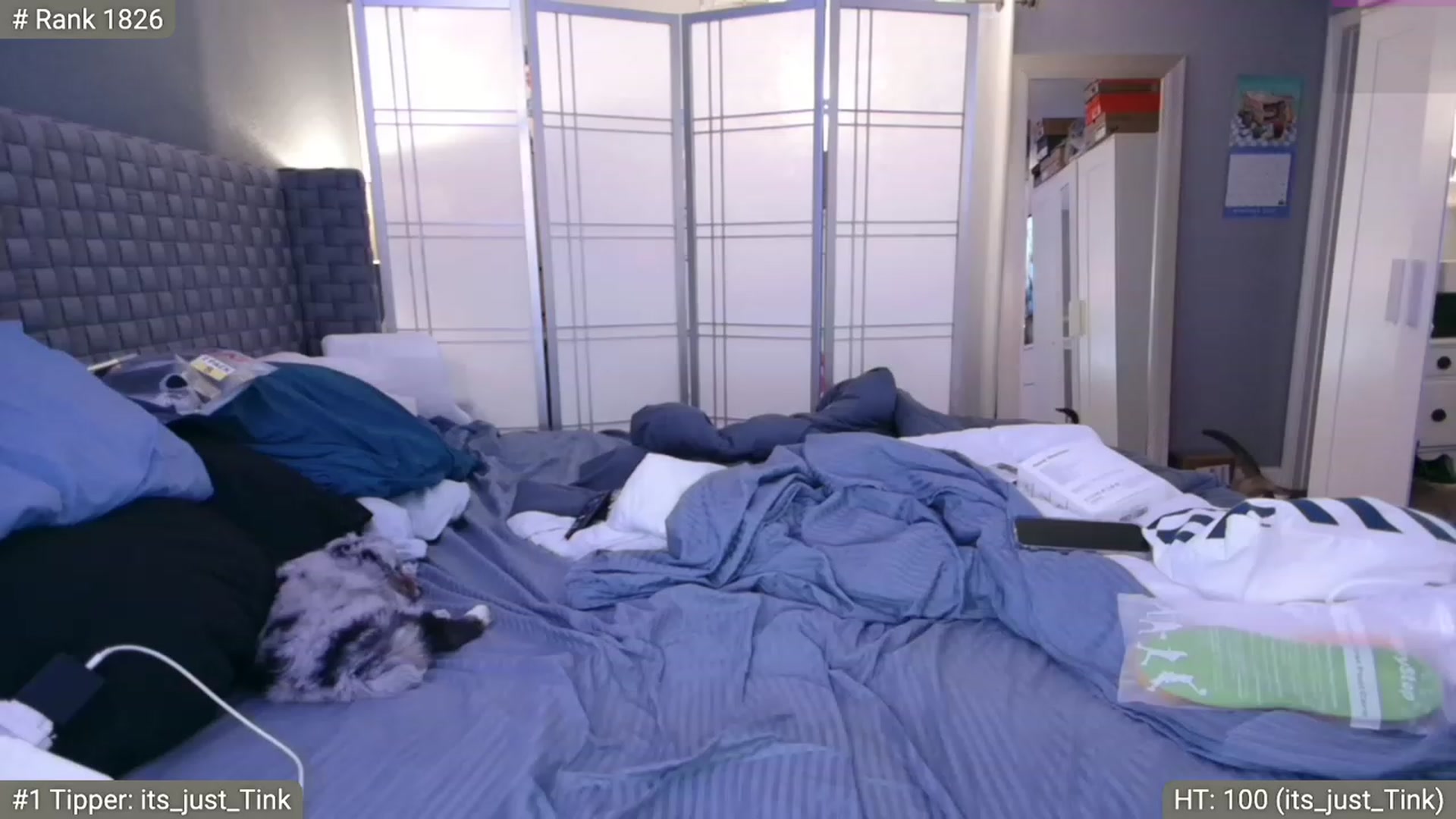 Gallery image thumbnail from Cinnabuns's myfreecams stream on, 11/20/2022, 05:40 image 8 of 20