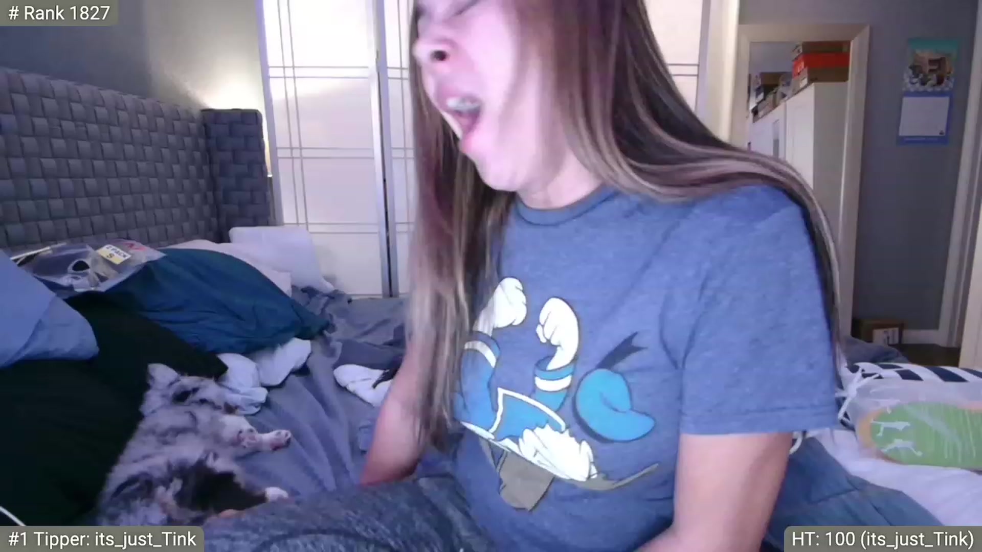 Gallery image thumbnail from Cinnabuns's myfreecams stream on, 11/20/2022, 05:40 image 17 of 20
