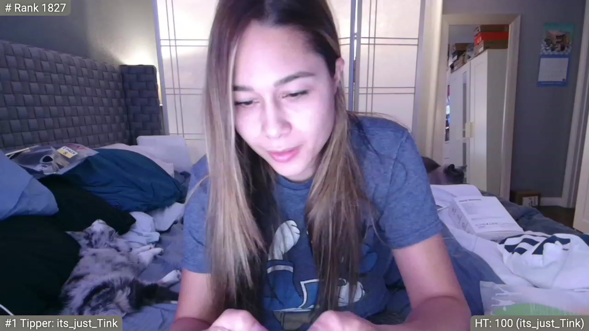 Gallery image thumbnail from Cinnabuns's myfreecams stream on, 11/20/2022, 05:40 image 13 of 20