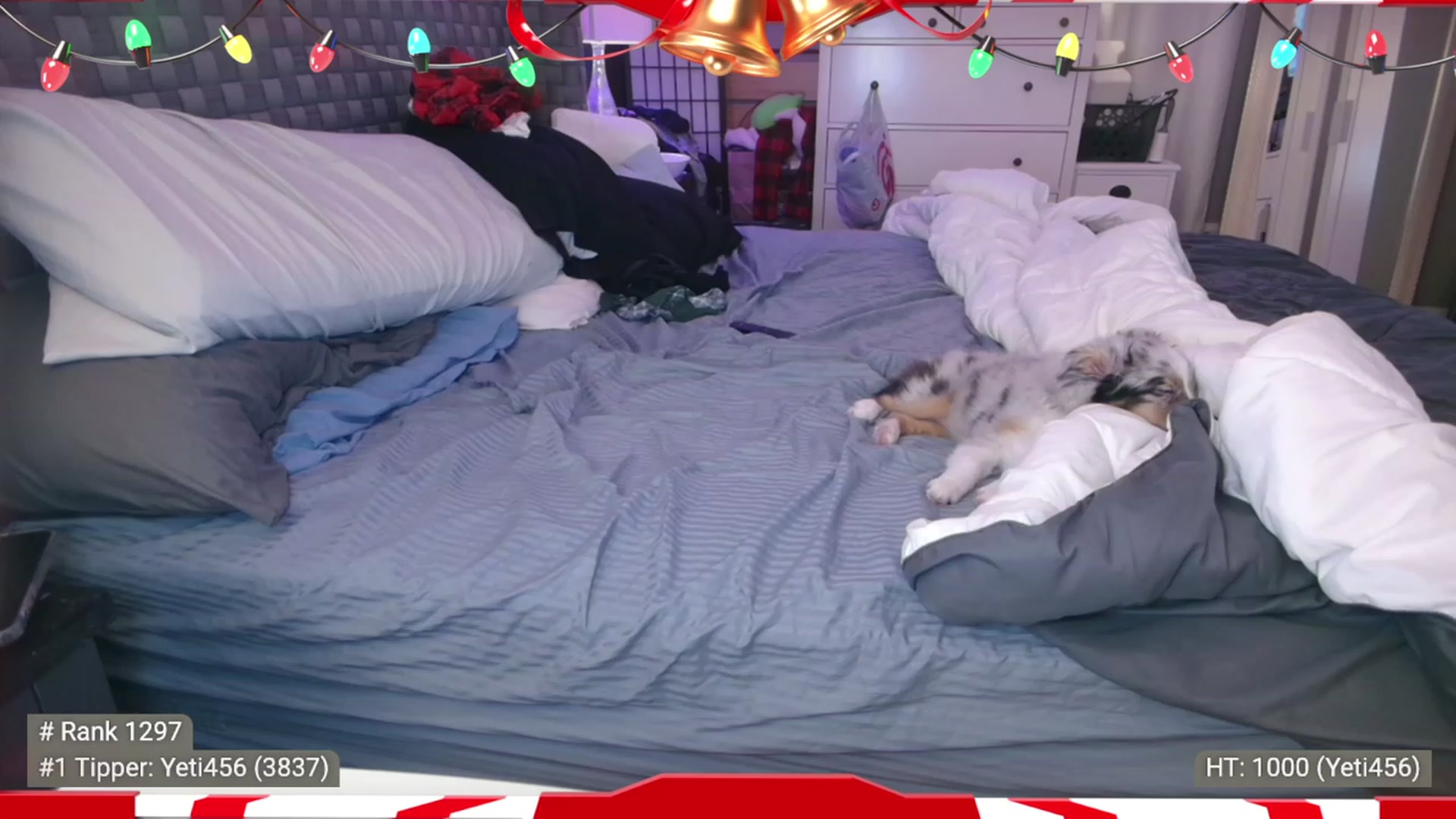 Gallery image thumbnail from Cinnabuns's myfreecams stream on, 12/15/2022, 07:26 image 16 of 20