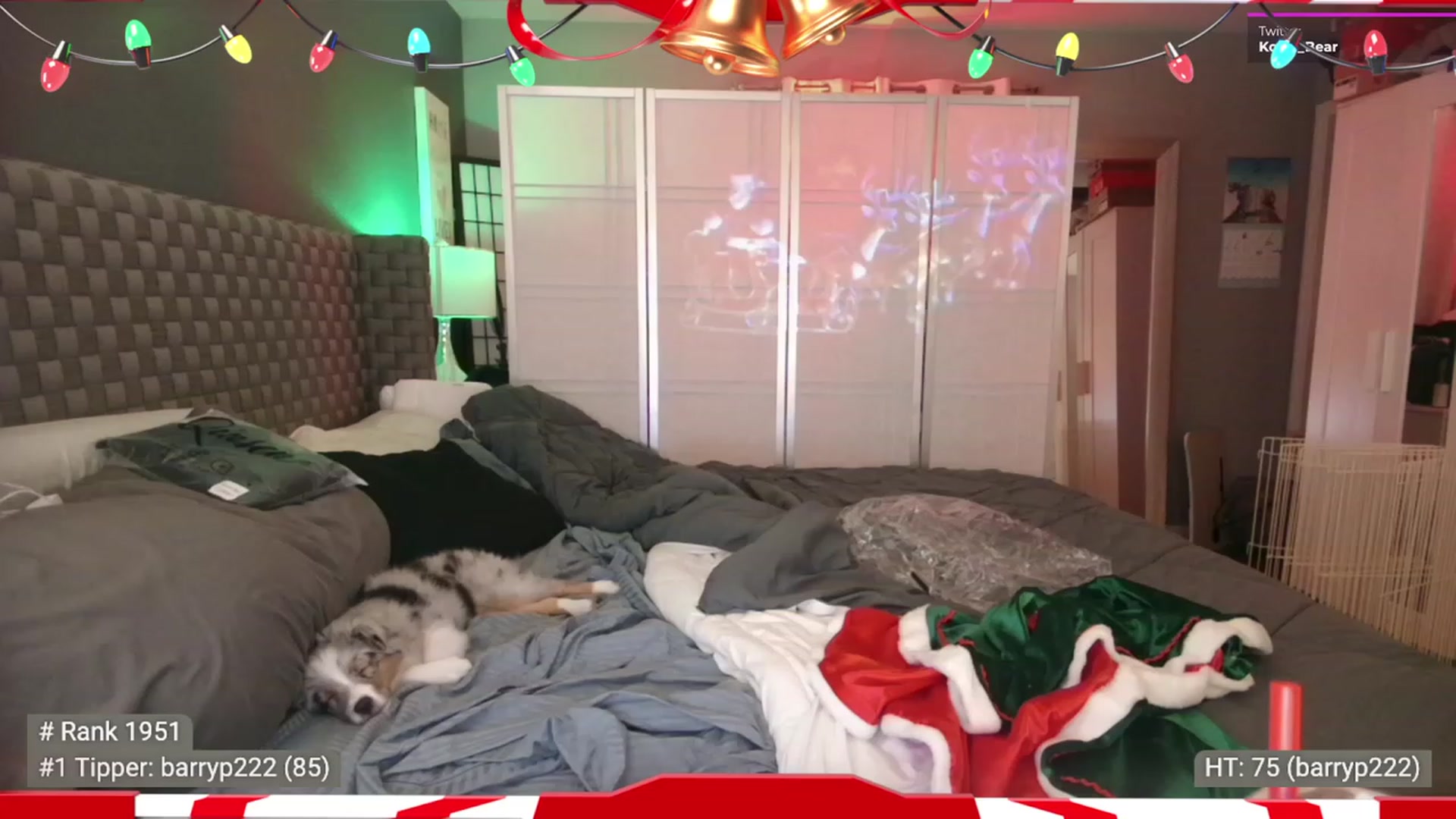 Gallery image thumbnail from Cinnabuns's myfreecams stream on, 12/26/2022, 07:10 image 4 of 20