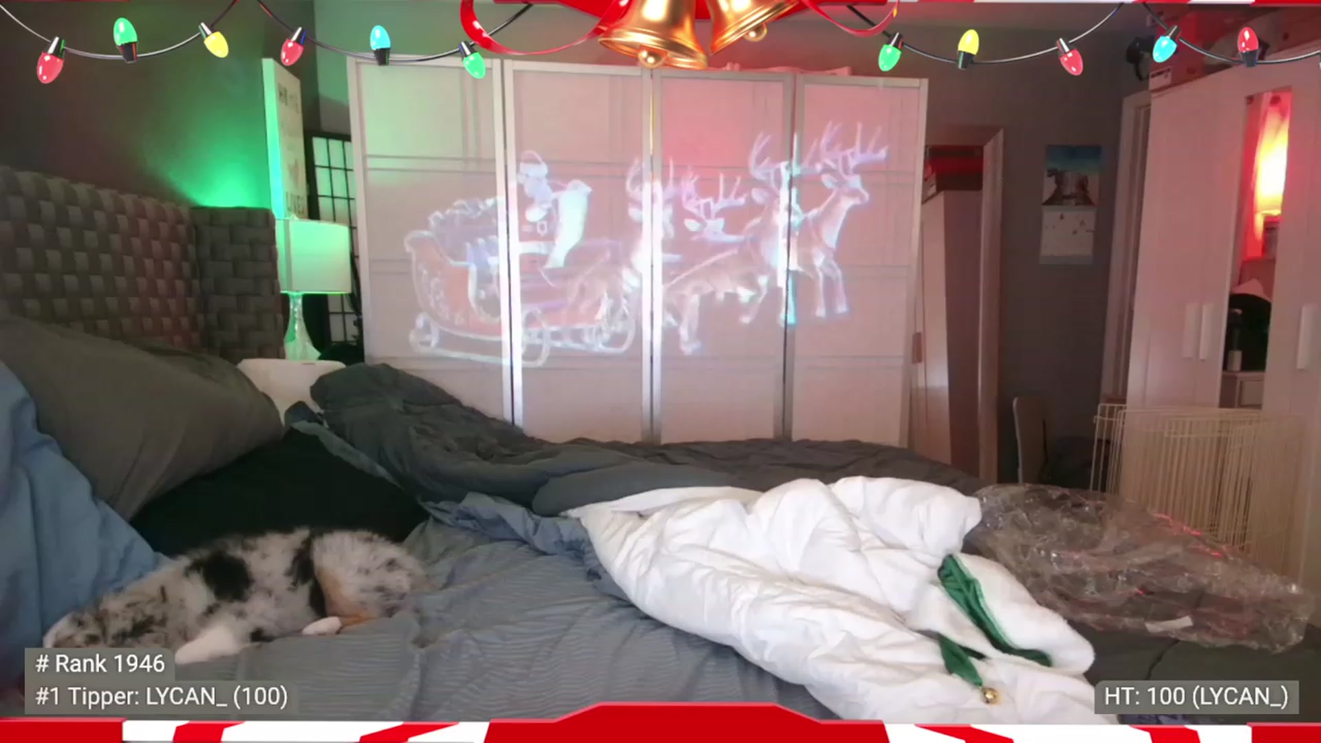 Gallery image thumbnail from Cinnabuns's myfreecams stream on, 12/26/2022, 07:10 image 8 of 20