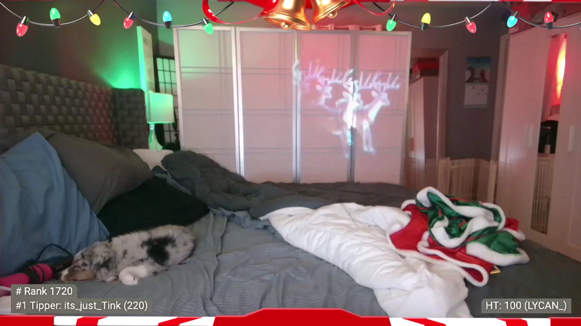 Gallery image thumbnail from Cinnabuns's myfreecams stream on, 12/26/2022, 08:30 image 13 of 20