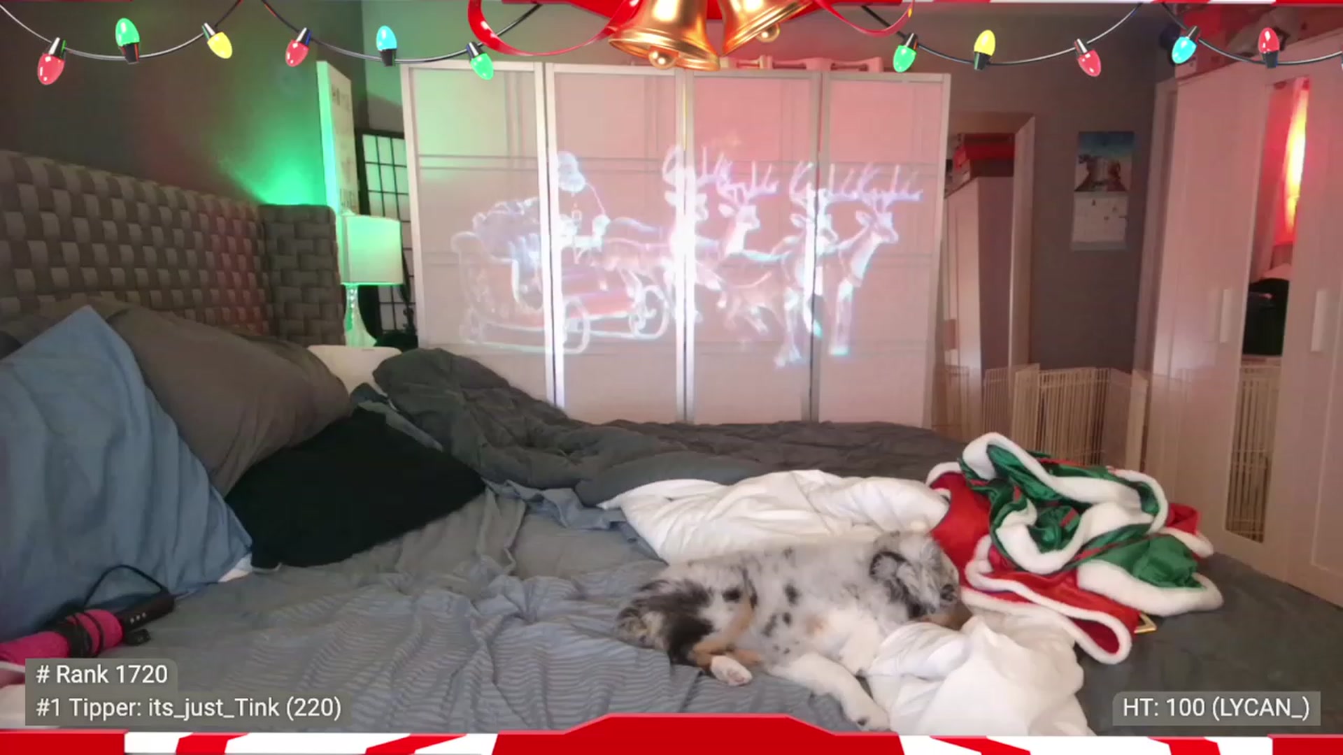 Gallery image thumbnail from Cinnabuns's myfreecams stream on, 12/26/2022, 08:30 image 14 of 20