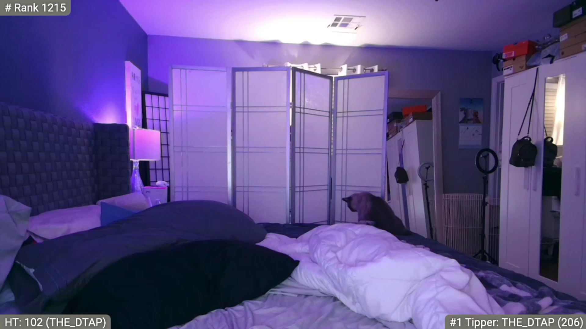 Gallery image thumbnail from Cinnabuns's myfreecams stream on, 01/12/2023, 08:23 image 8 of 20