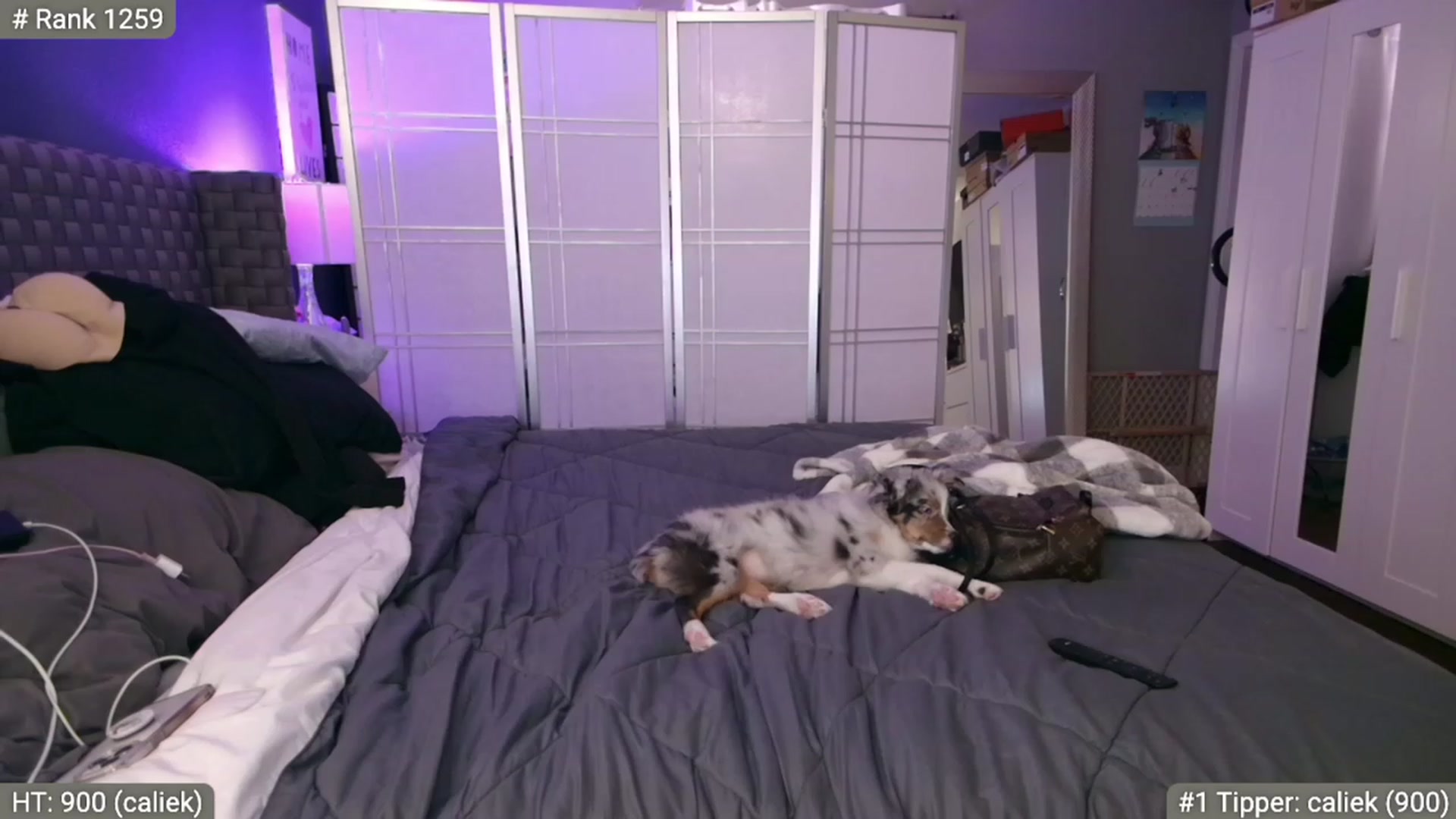 Gallery image thumbnail from Cinnabuns's myfreecams stream on, 01/19/2023, 08:44 image 7 of 20