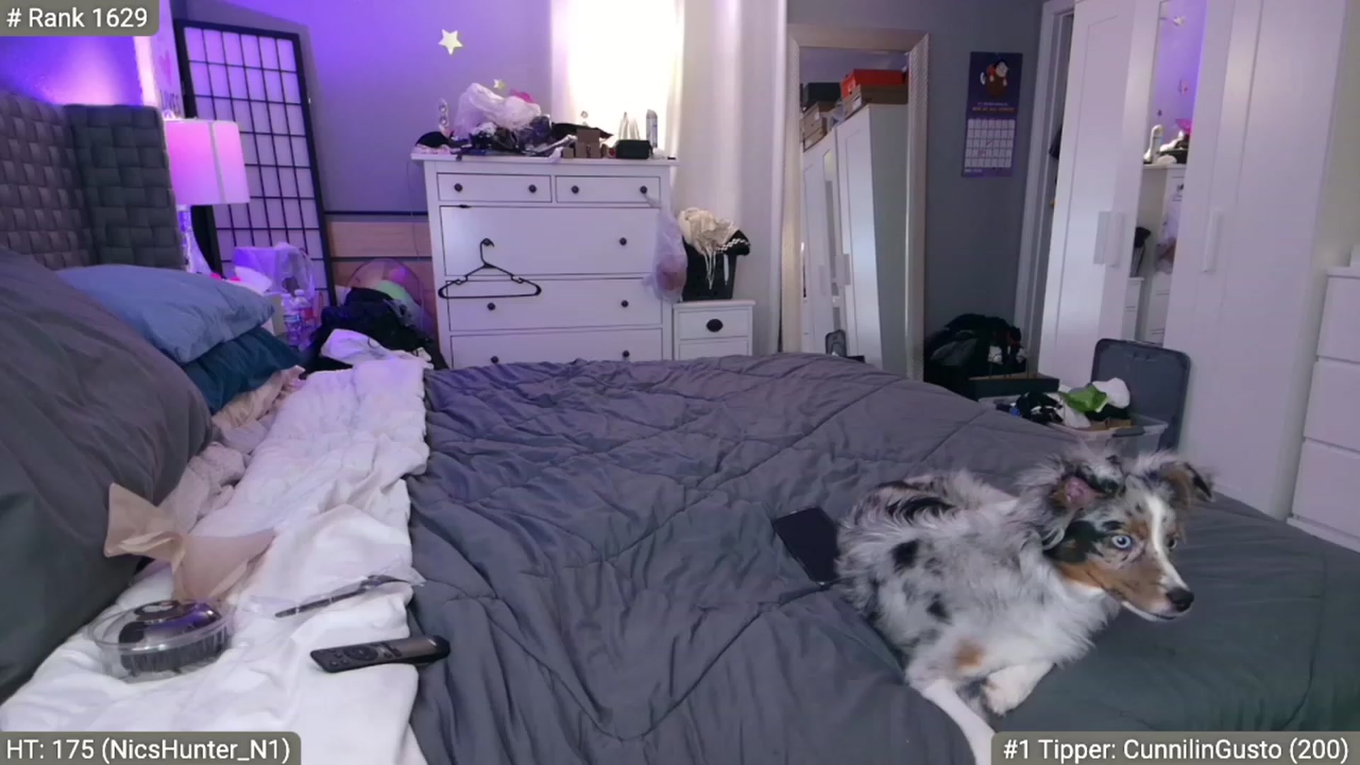 Gallery image thumbnail from Cinnabuns's myfreecams stream on, 05/13/2023, 07:19 image 9 of 20