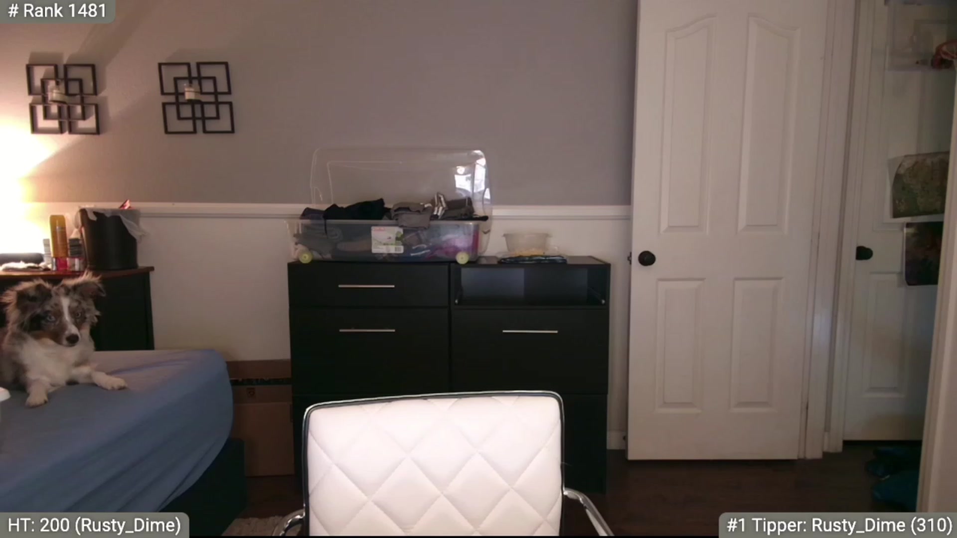 Gallery image thumbnail from Cinnabuns's myfreecams stream on, 06/02/2023, 11:26 image 11 of 20