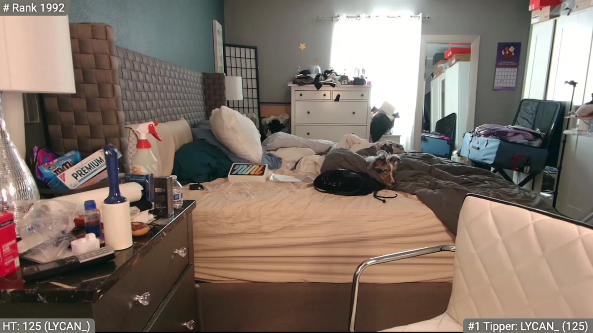 Gallery image thumbnail from Cinnabuns's myfreecams stream on, 06/30/2023, 20:26 image 6 of 20