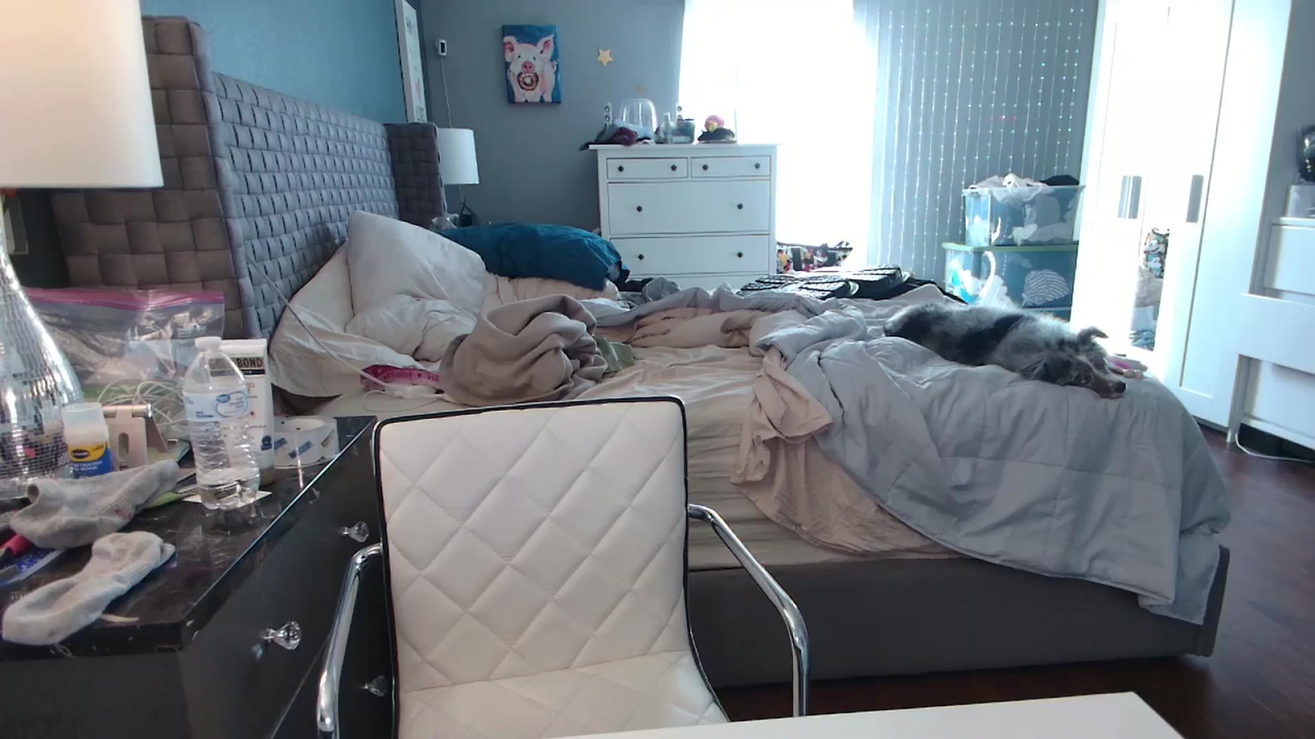 Gallery image thumbnail from Cinnabuns's myfreecams stream on, 10/16/2024, 17:05 image 12 of 20