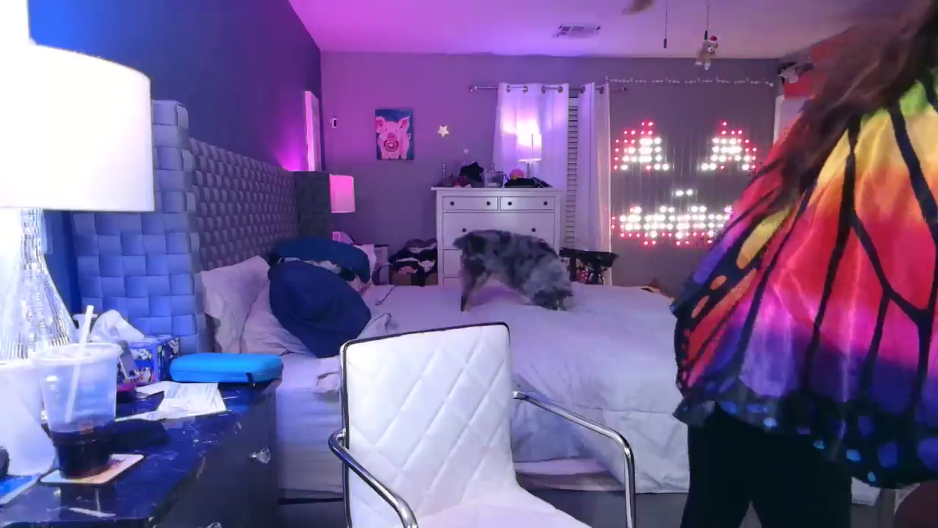 Gallery image thumbnail from Cinnabuns's myfreecams stream on, 10/20/2024, 03:12 image 15 of 20