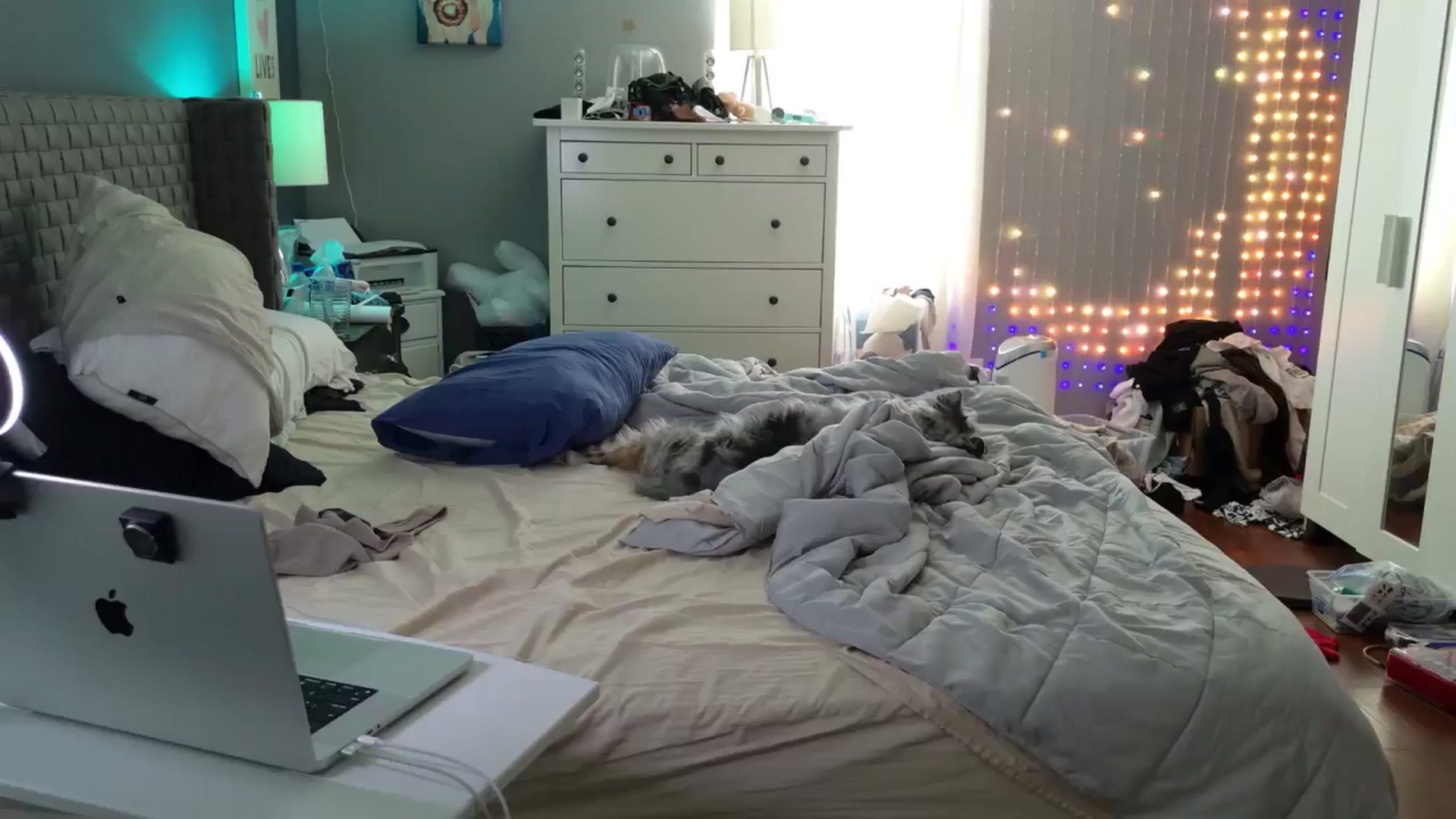 Gallery image thumbnail from Cinnabuns's myfreecams stream on, 04/29/2026, 18:13 image 5 of 20