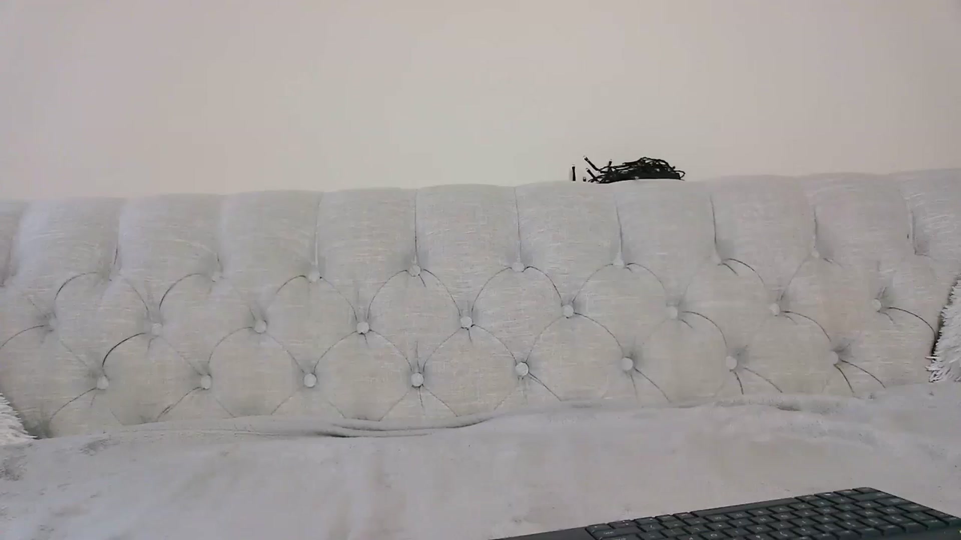 Gallery image thumbnail from CitySofia's myfreecams stream on, 07/25/2023, 23:57 image 18 of 20