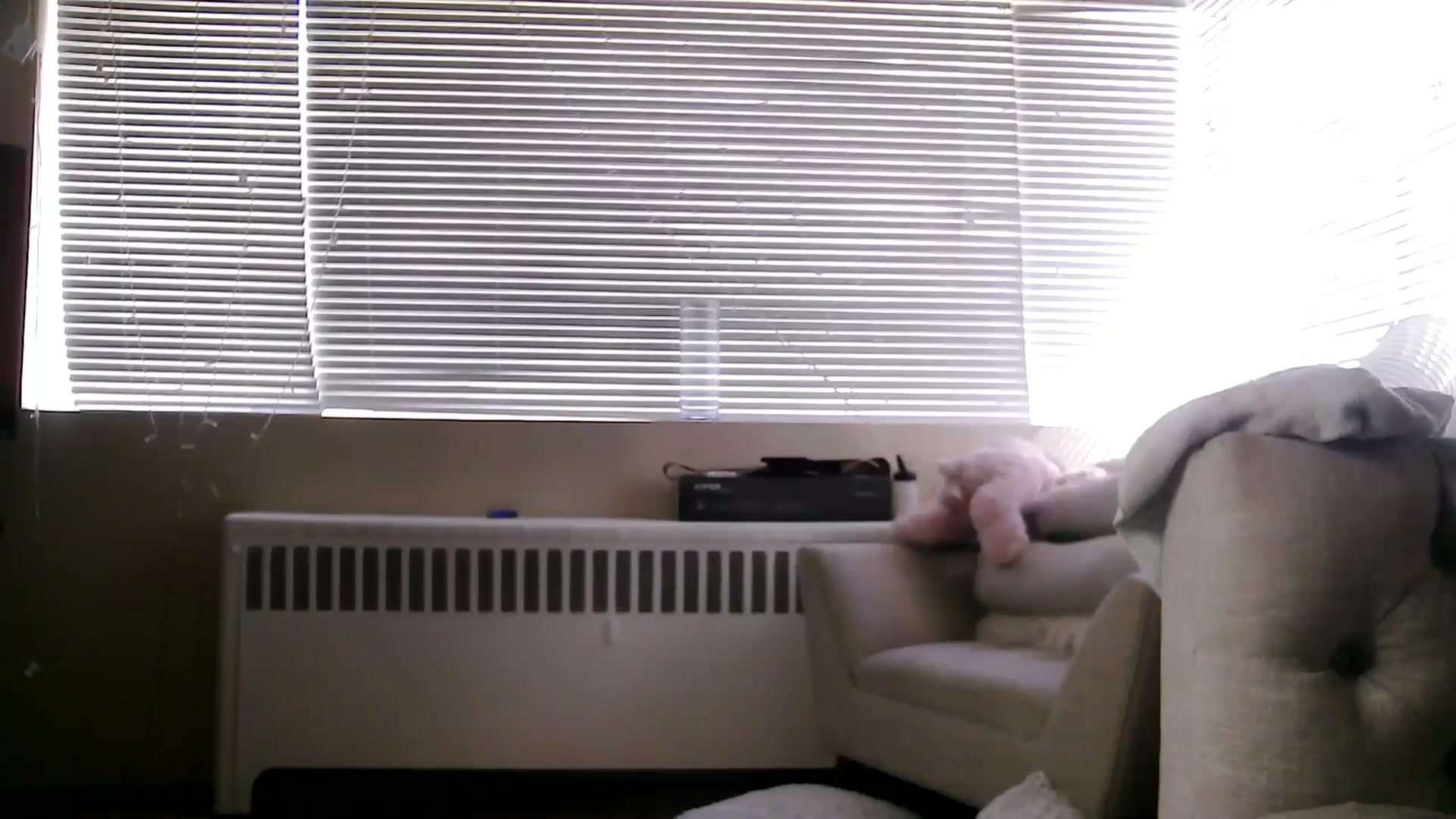 Gallery image thumbnail from CitySofia's myfreecams stream on, 06/07/2024, 24:20 image 5 of 20