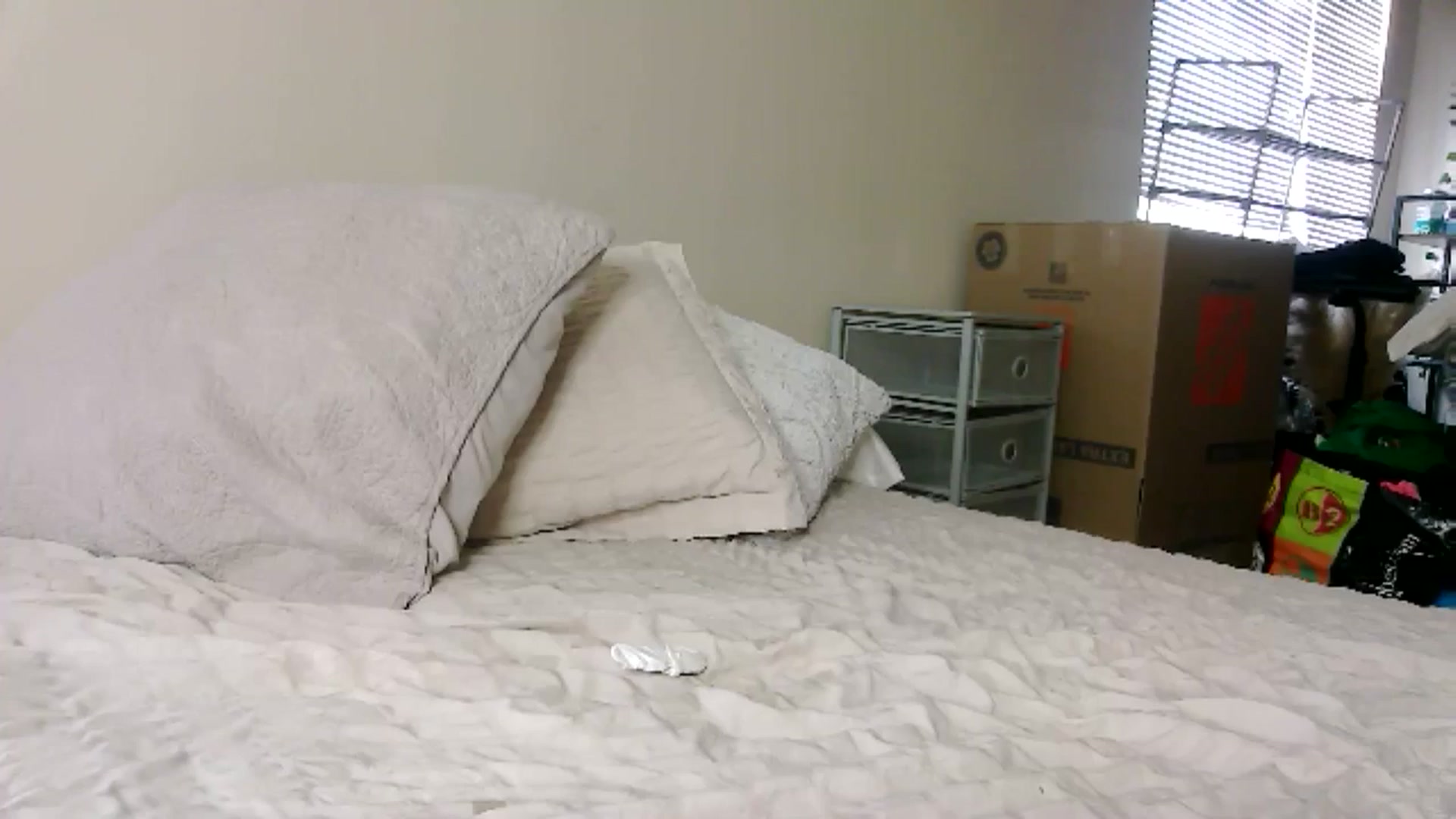 Gallery image thumbnail from CitySofia's myfreecams stream on, 08/07/2025, 24:03 image 16 of 20