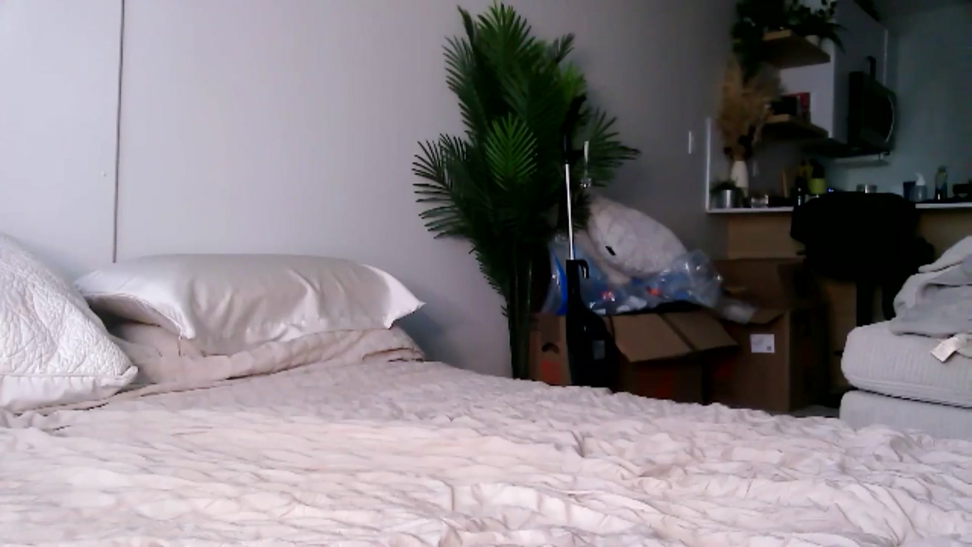 Gallery image thumbnail from CitySofia's myfreecams stream on, 09/18/2025, 24:09 image 3 of 20