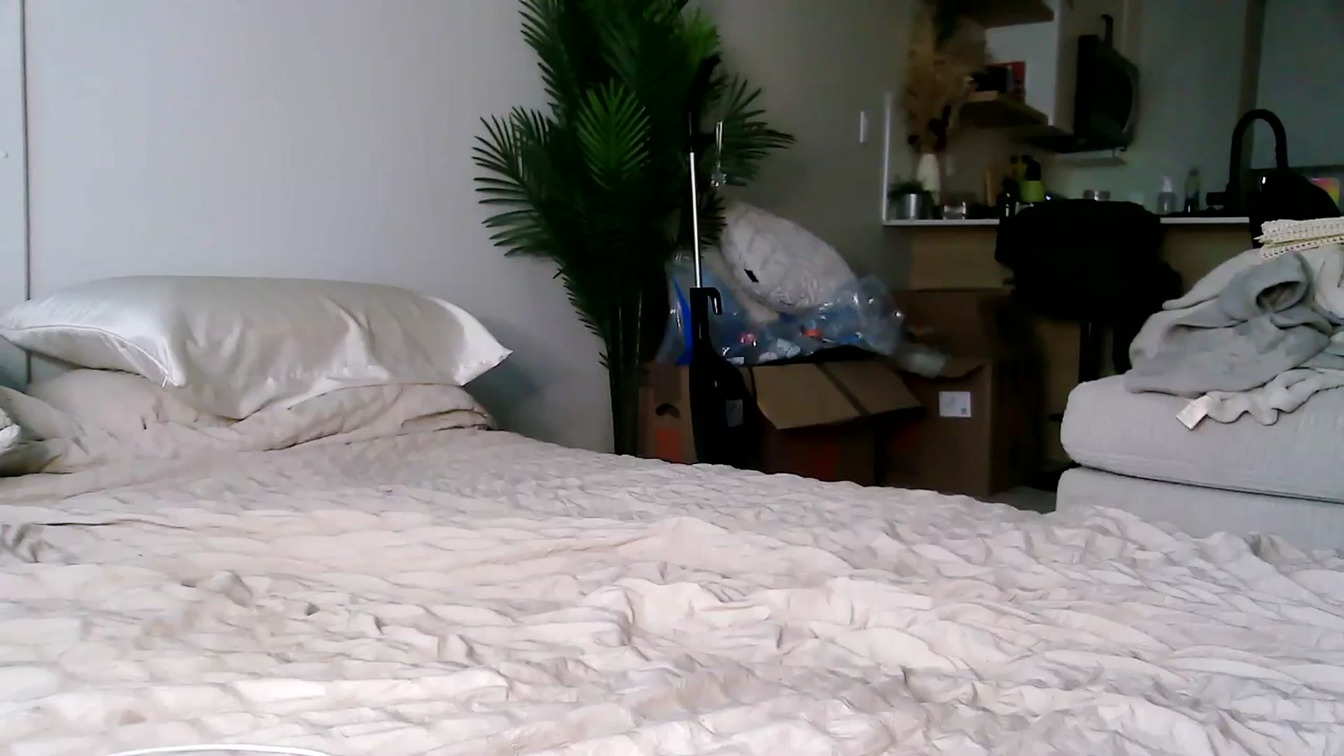 Gallery image thumbnail from CitySofia's myfreecams stream on, 09/18/2025, 01:04 image 11 of 20