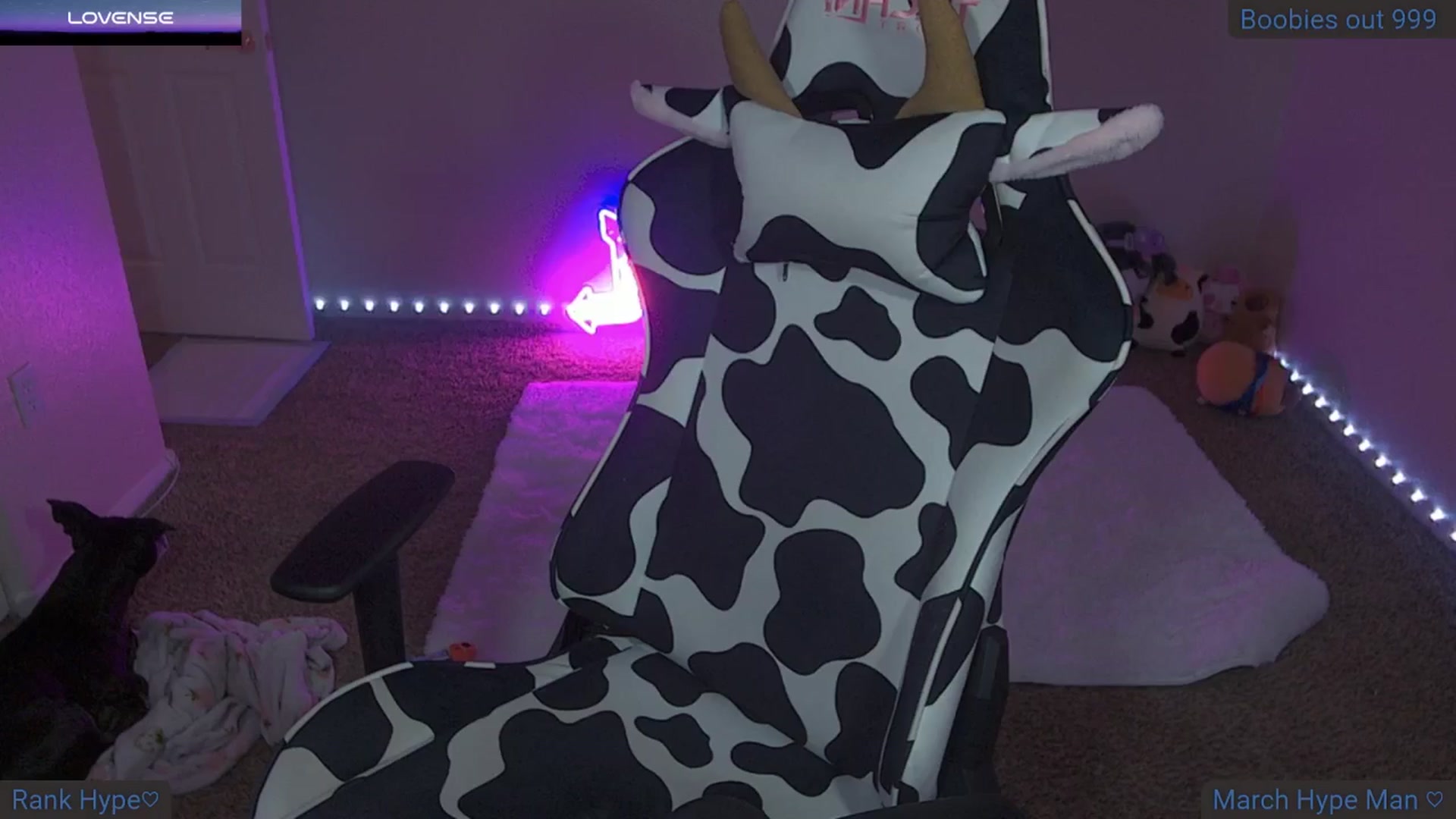 Gallery image thumbnail from ClaireMoonx's myfreecams stream on, 03/04/2025, 07:56 image 9 of 20