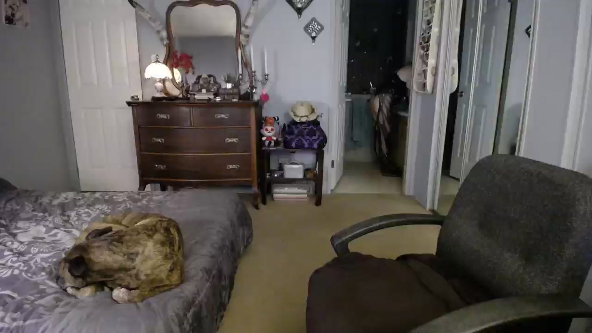 Gallery image thumbnail from Classic_Daisy's myfreecams stream on, 10/05/2024, 01:37 image 5 of 20