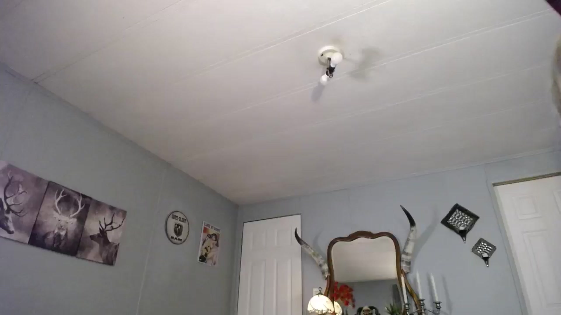 Gallery image thumbnail from Classic_Daisy's myfreecams stream on, 10/15/2024, 23:59 image 1 of 20