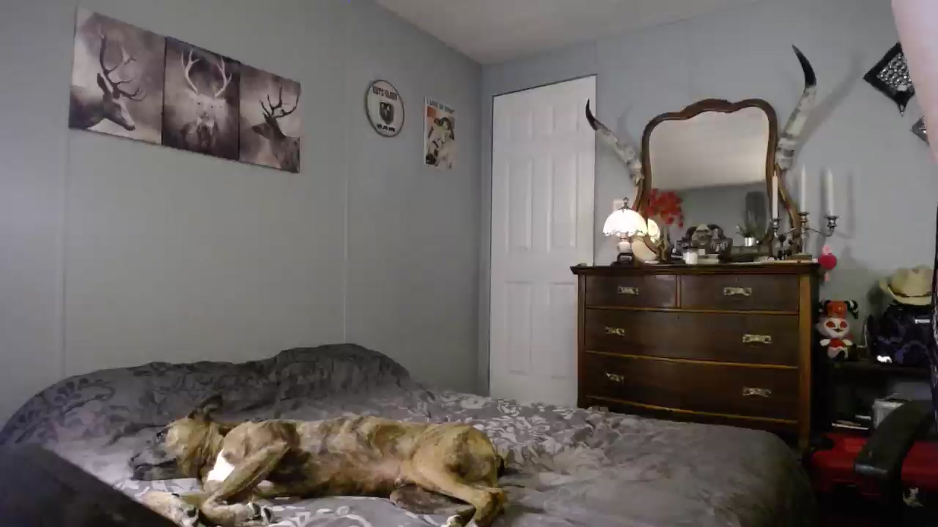 Gallery image thumbnail from Classic_Daisy's myfreecams stream on, 10/16/2024, 01:24 image 18 of 20