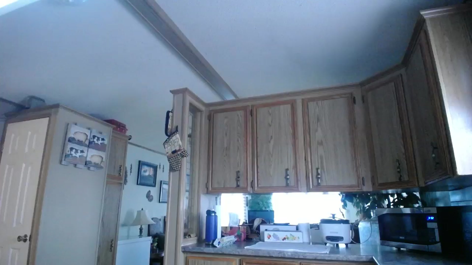 Gallery image thumbnail from Classic_Daisy's myfreecams stream on, 11/23/2024, 21:43 image 1 of 20