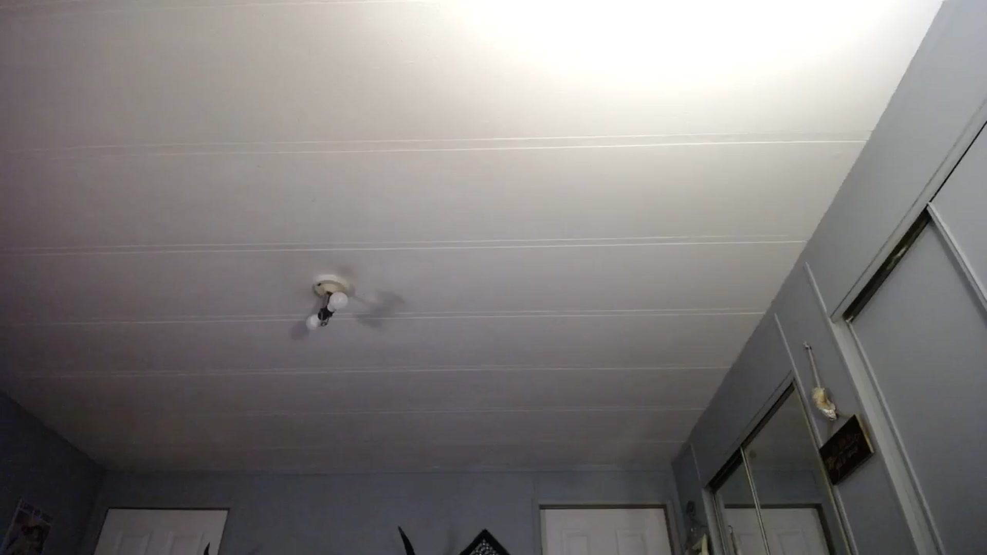 Gallery image thumbnail from Classic_Daisy's myfreecams stream on, 12/16/2024, 23:01 image 6 of 20