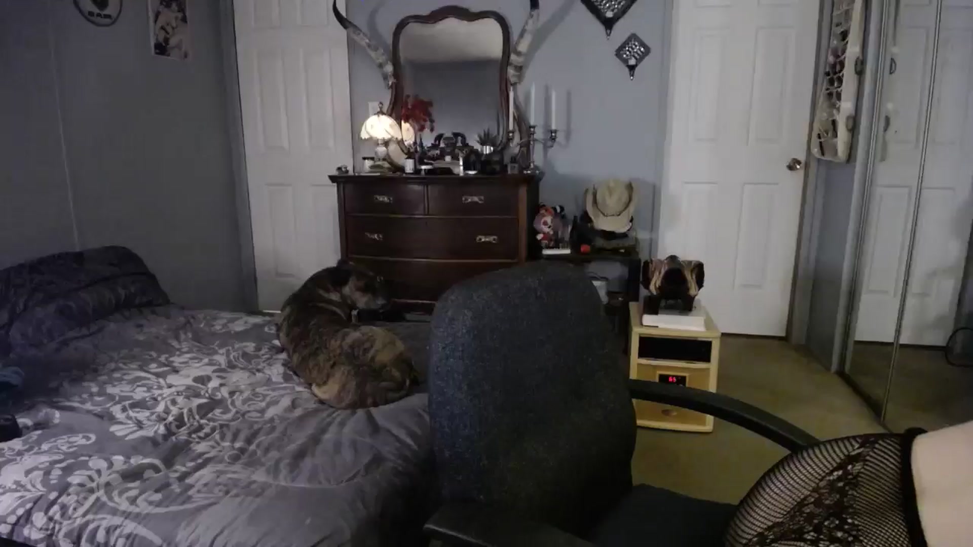 Gallery image thumbnail from Classic_Daisy's myfreecams stream on, 01/21/2025, 24:55 image 15 of 20