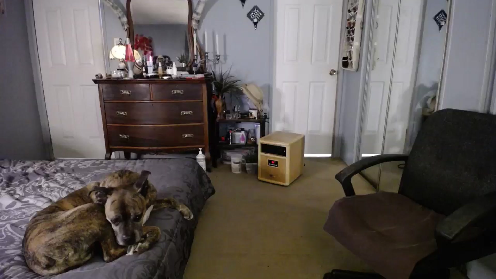 Gallery image thumbnail from Classic_Daisy's myfreecams stream on, 03/08/2025, 21:06 image 11 of 20