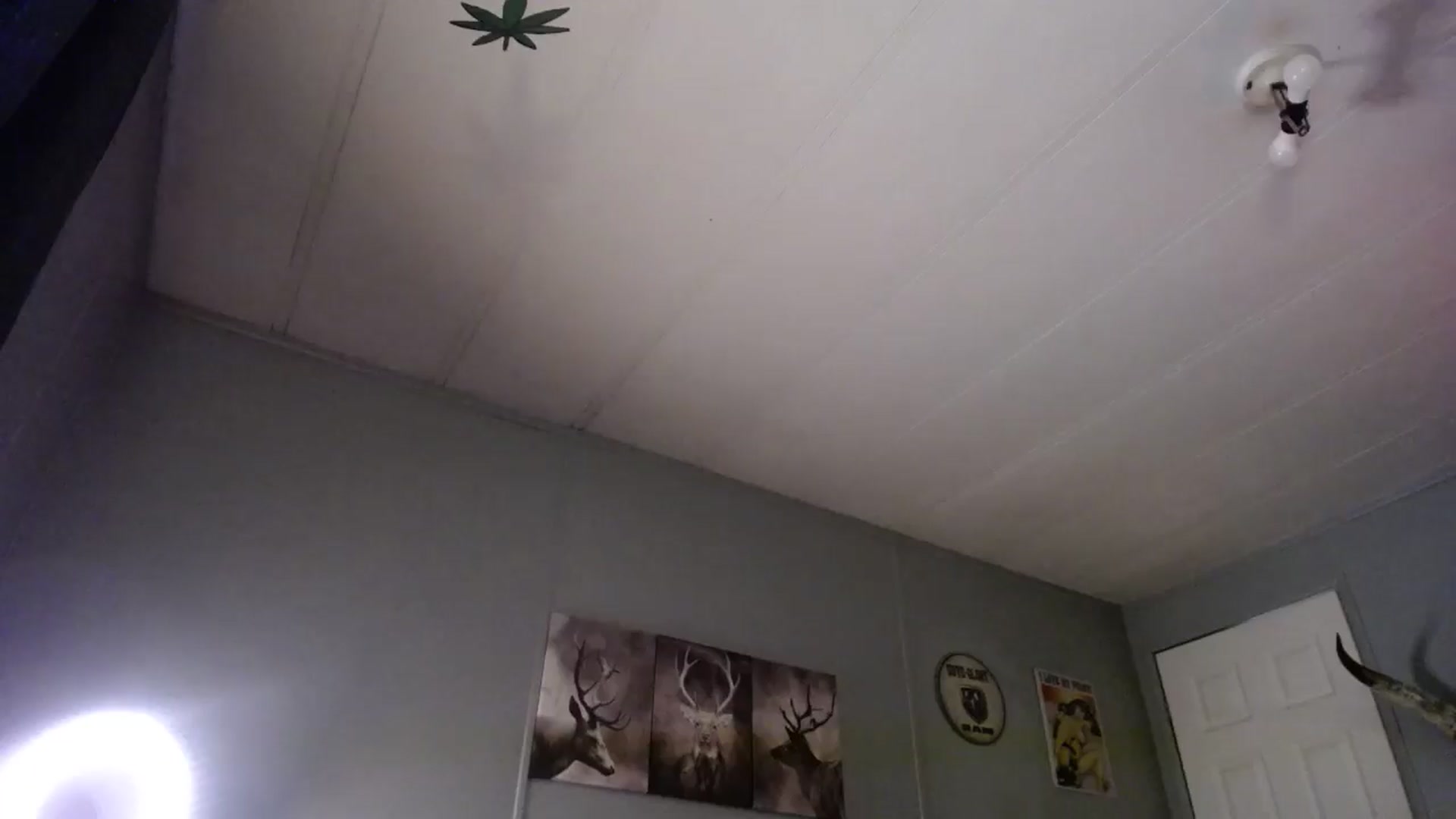 Gallery image thumbnail from Classic_Daisy's myfreecams stream on, 03/27/2025, 22:29 image 9 of 20