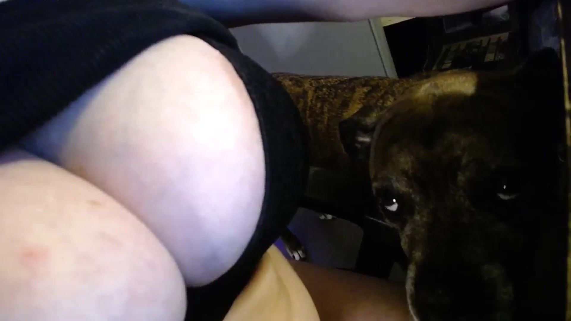 Gallery image thumbnail from Classic_Daisy's myfreecams stream on, 04/07/2025, 21:41 image 17 of 20